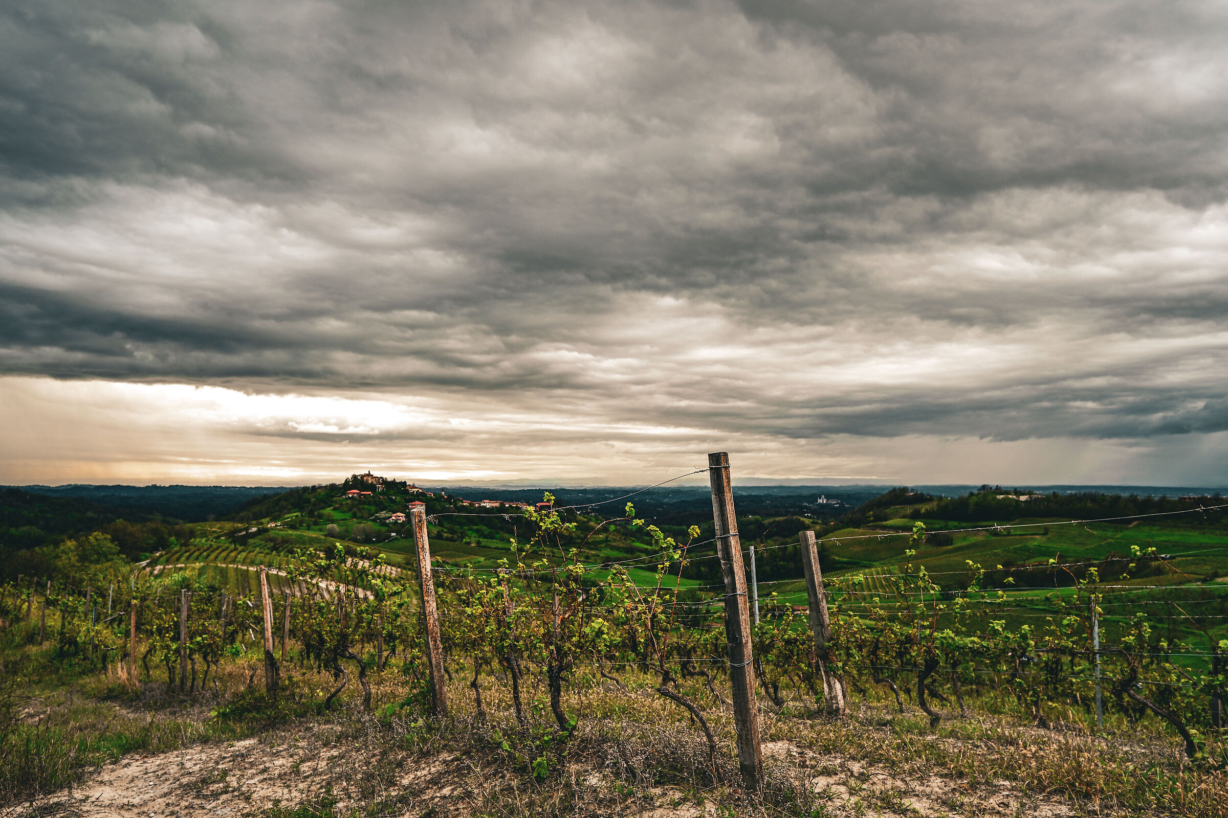 Vineyards