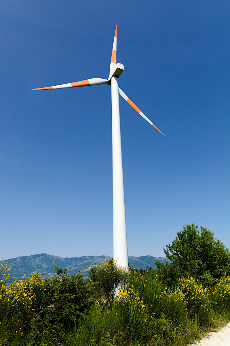 Questo è il futuro?