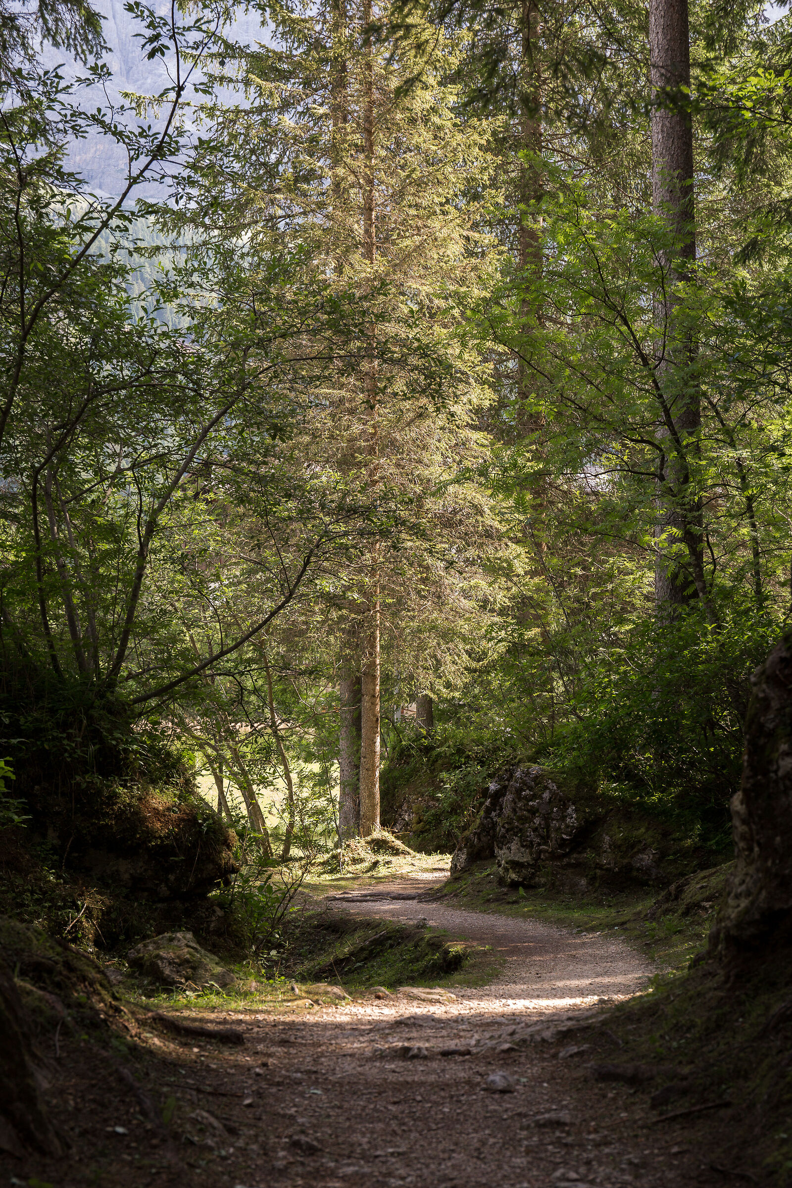 Untitled Photo