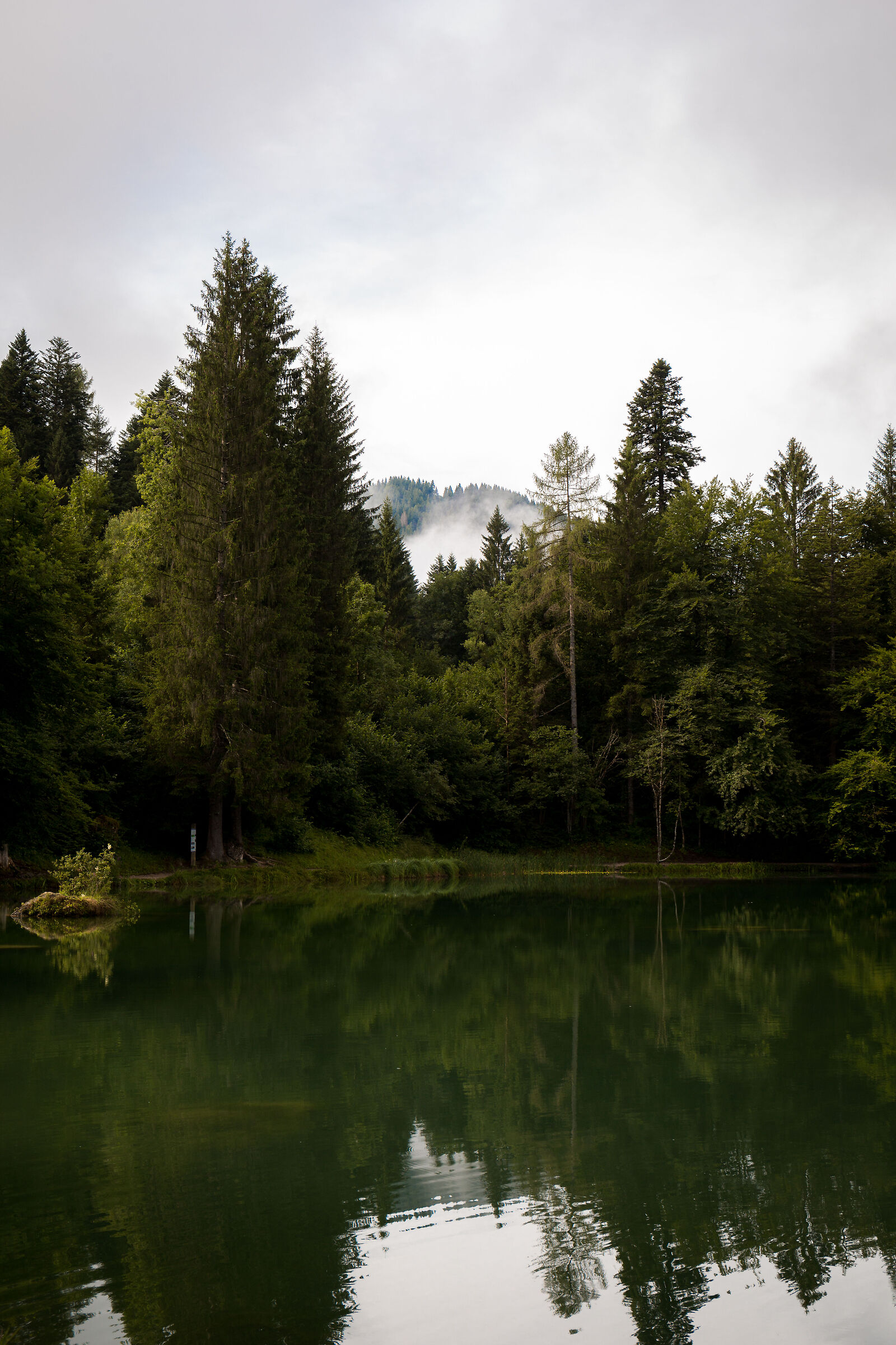 Untitled Photo