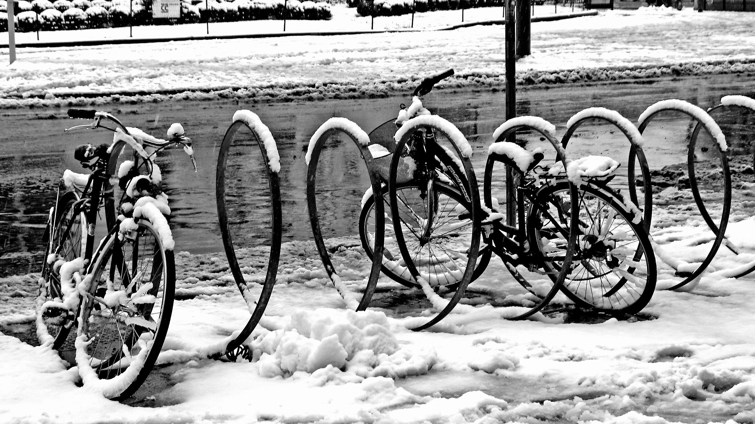 The last snow of spring