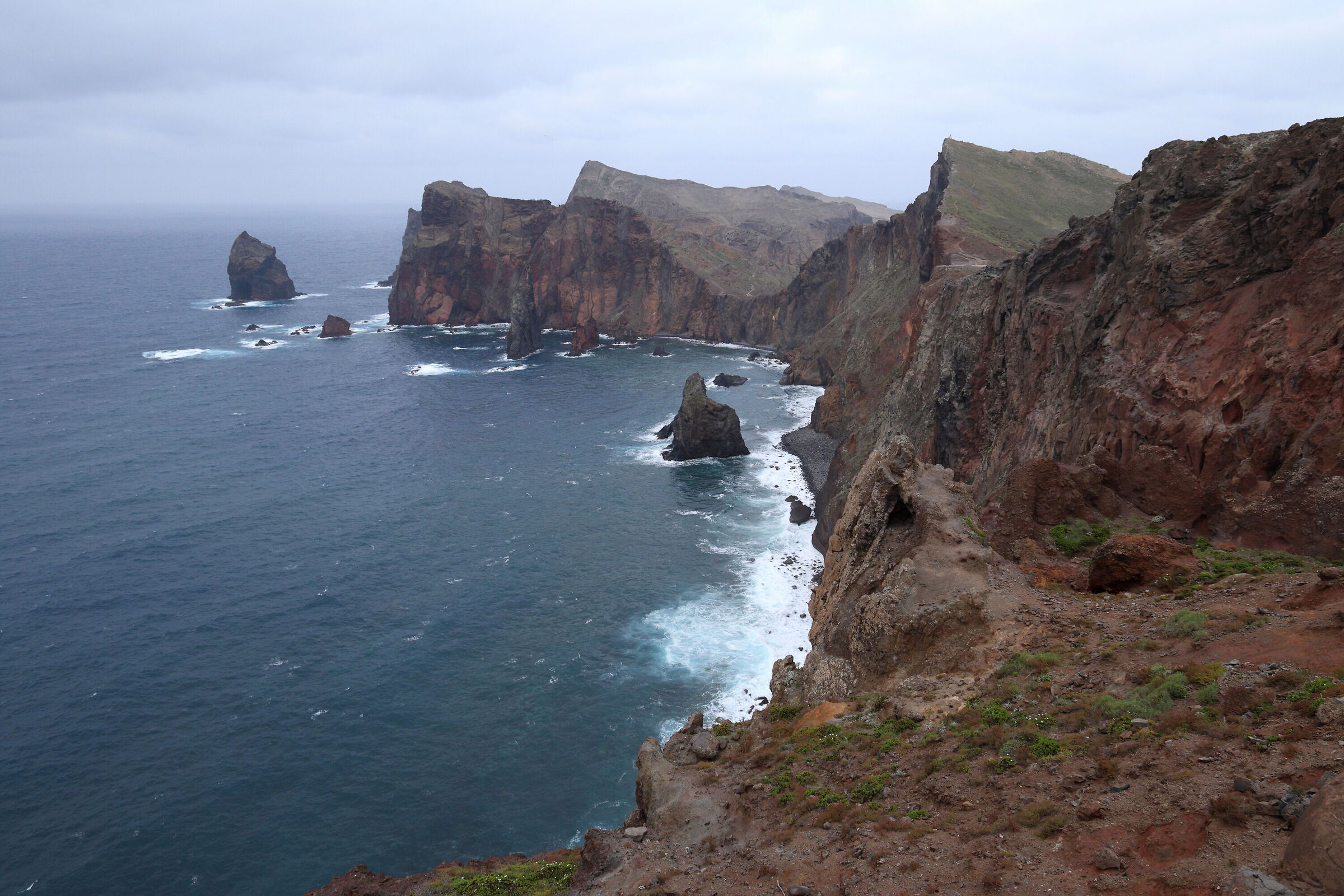 Penisola di Sao Lourenco
