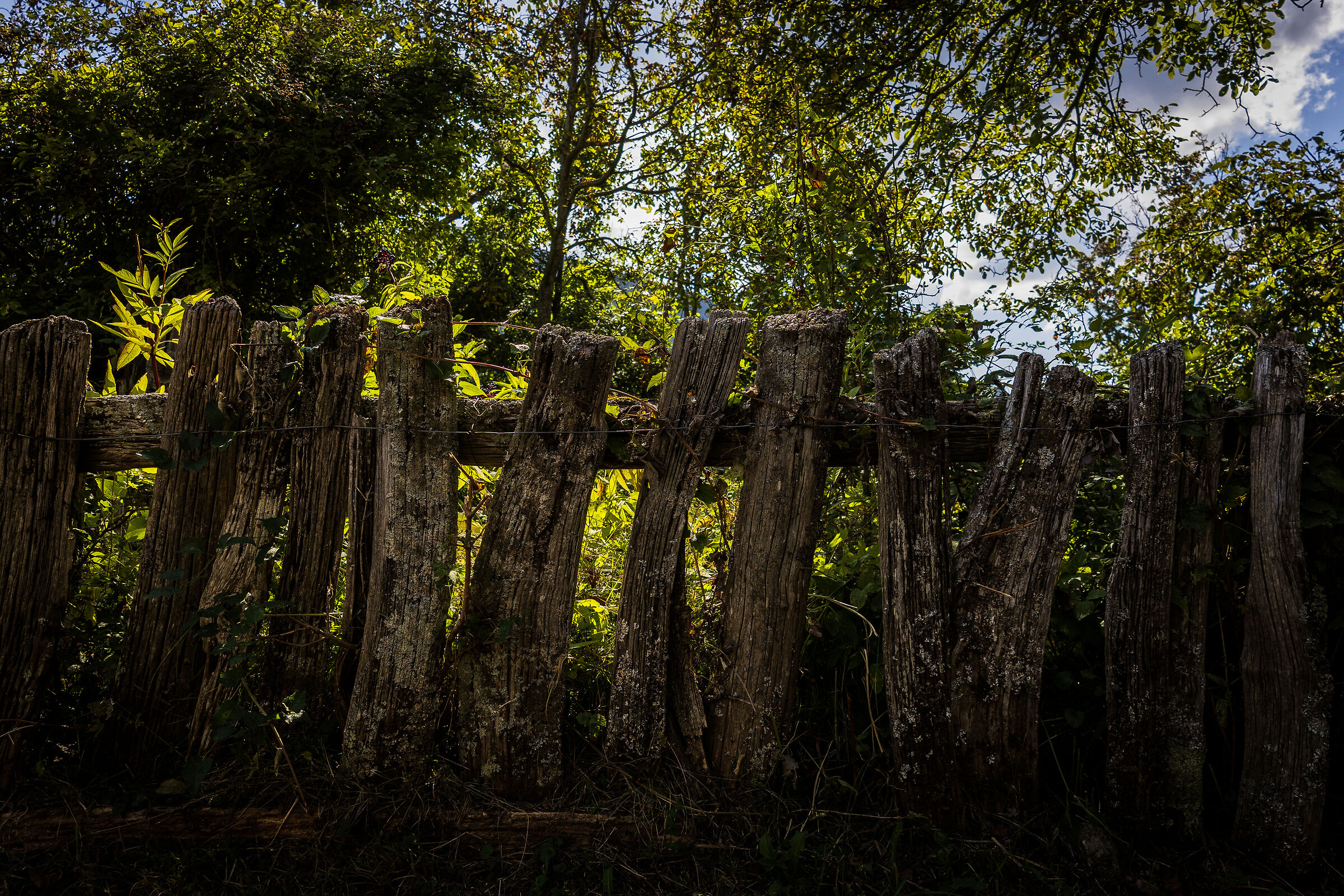 Ancient mountain fence