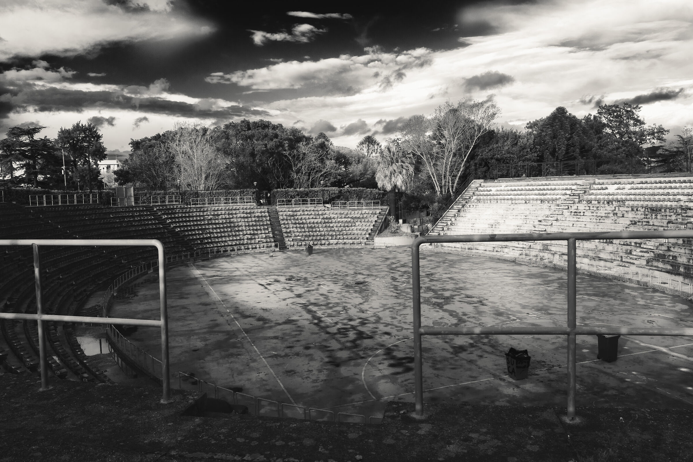 Untitled Photo