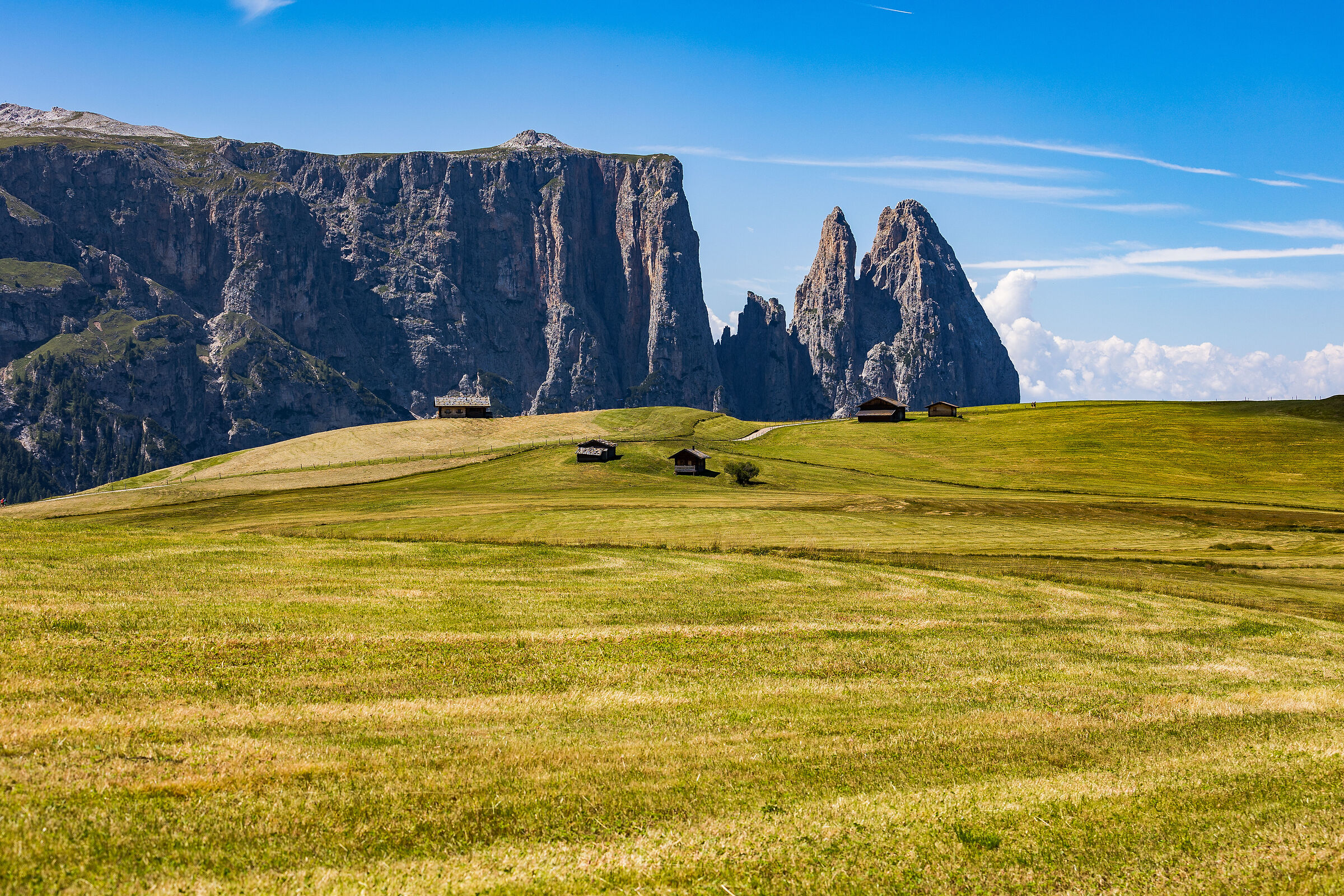 Sciliar from Alpe di Siusi
