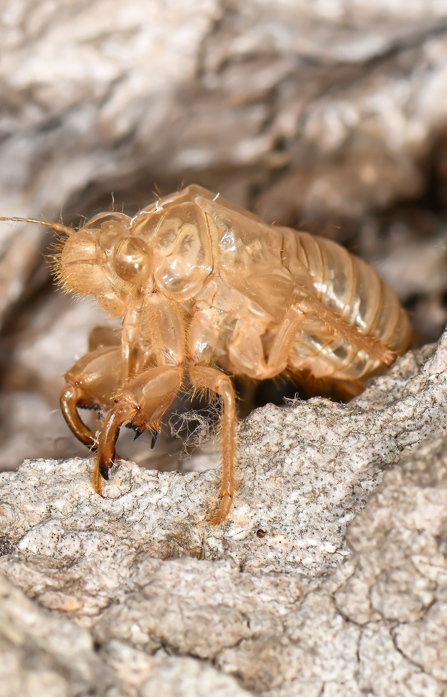 Qualcuno ha cambiato vestito
