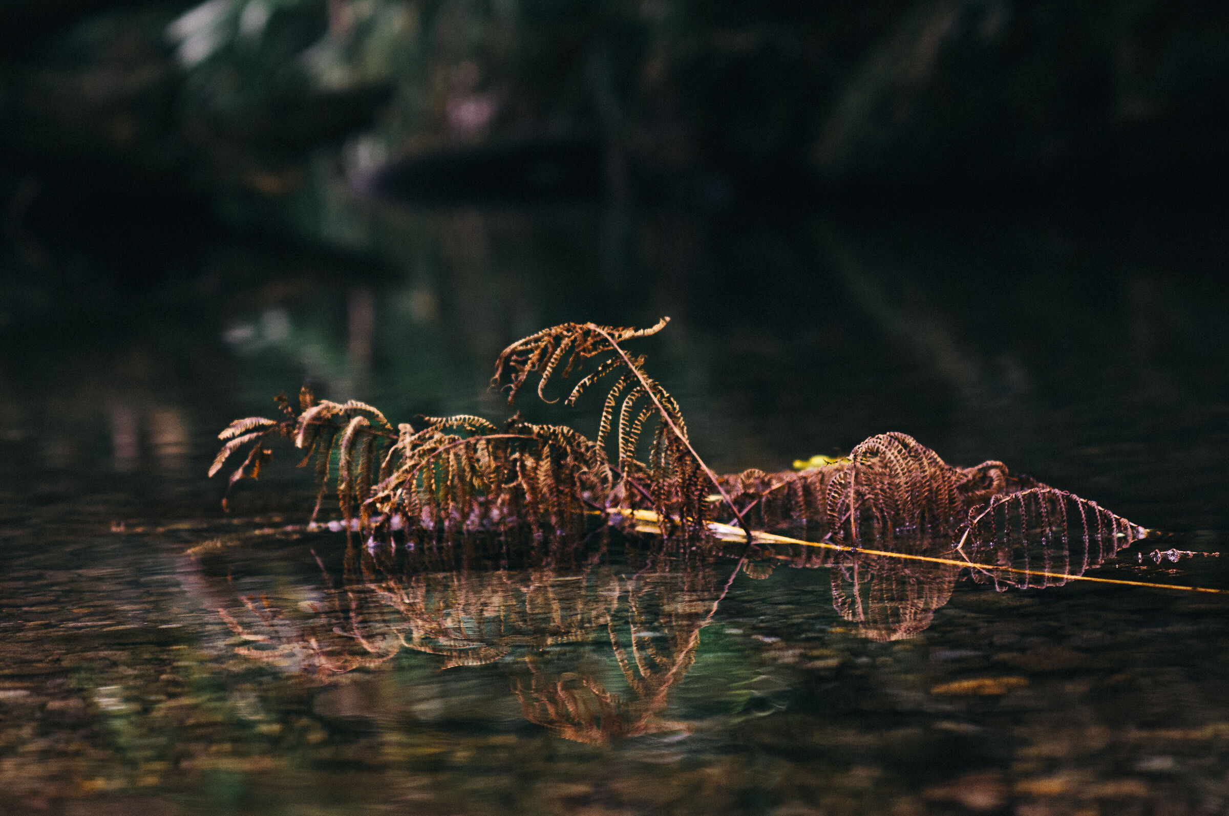 In water