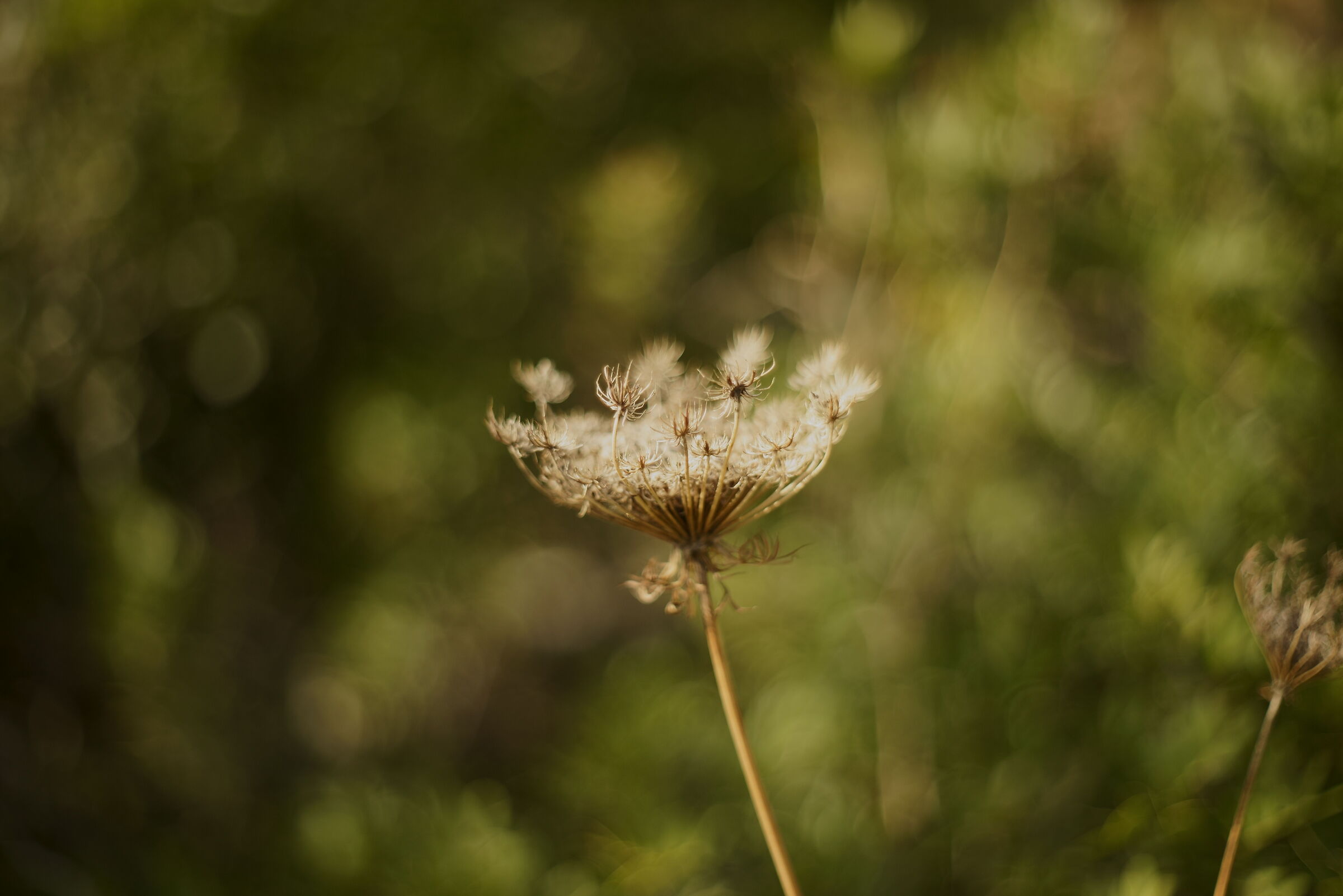 Untitled Photo