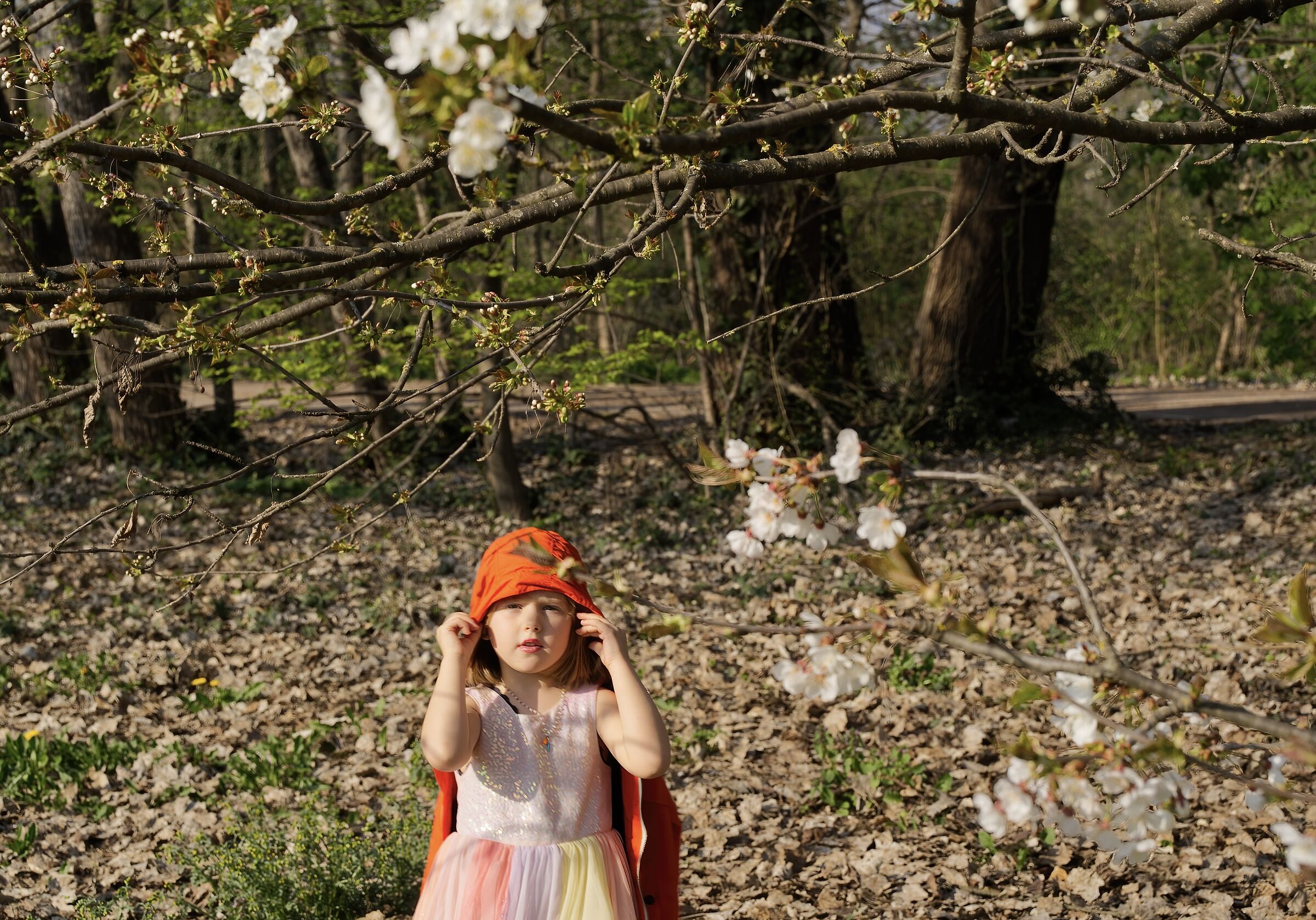 Little Red Riding Hood