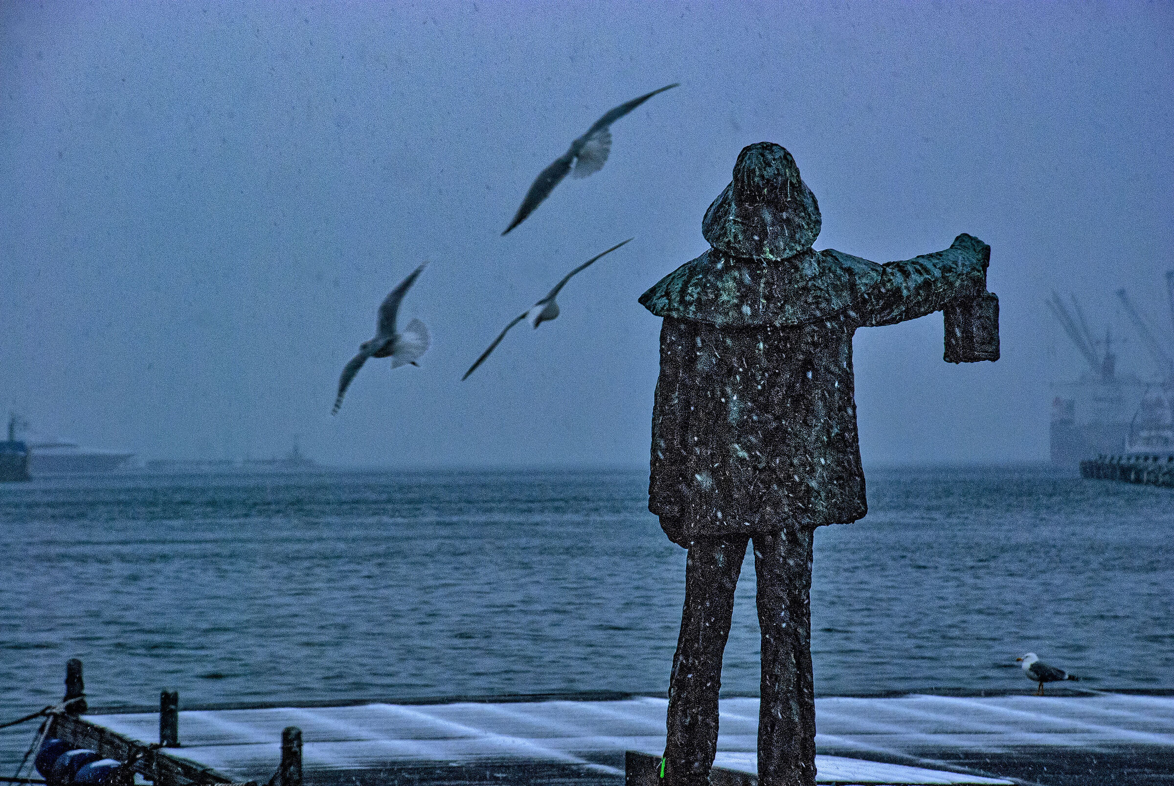 the guardian of the city - Savona-