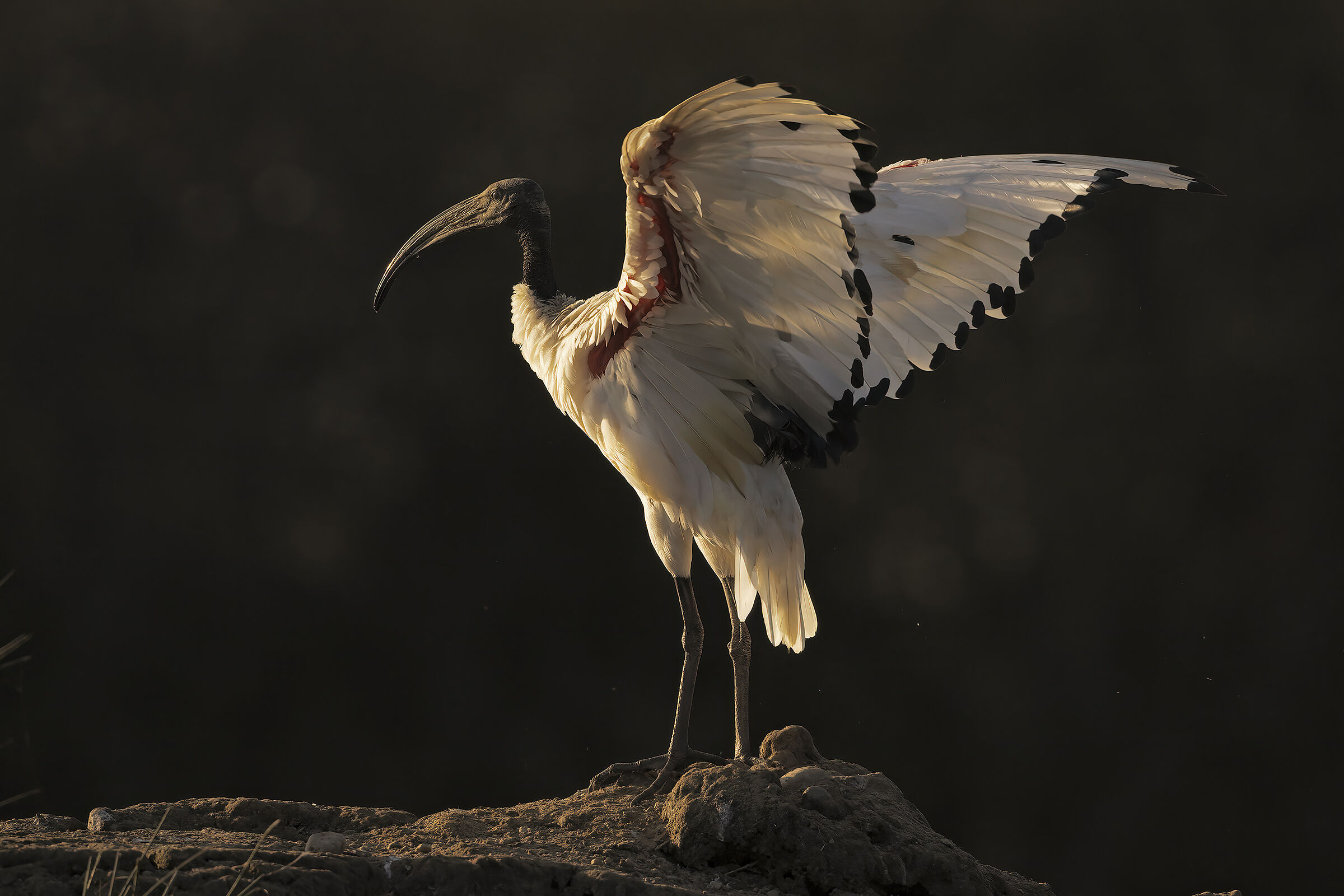 Uno sguardo al tramonto