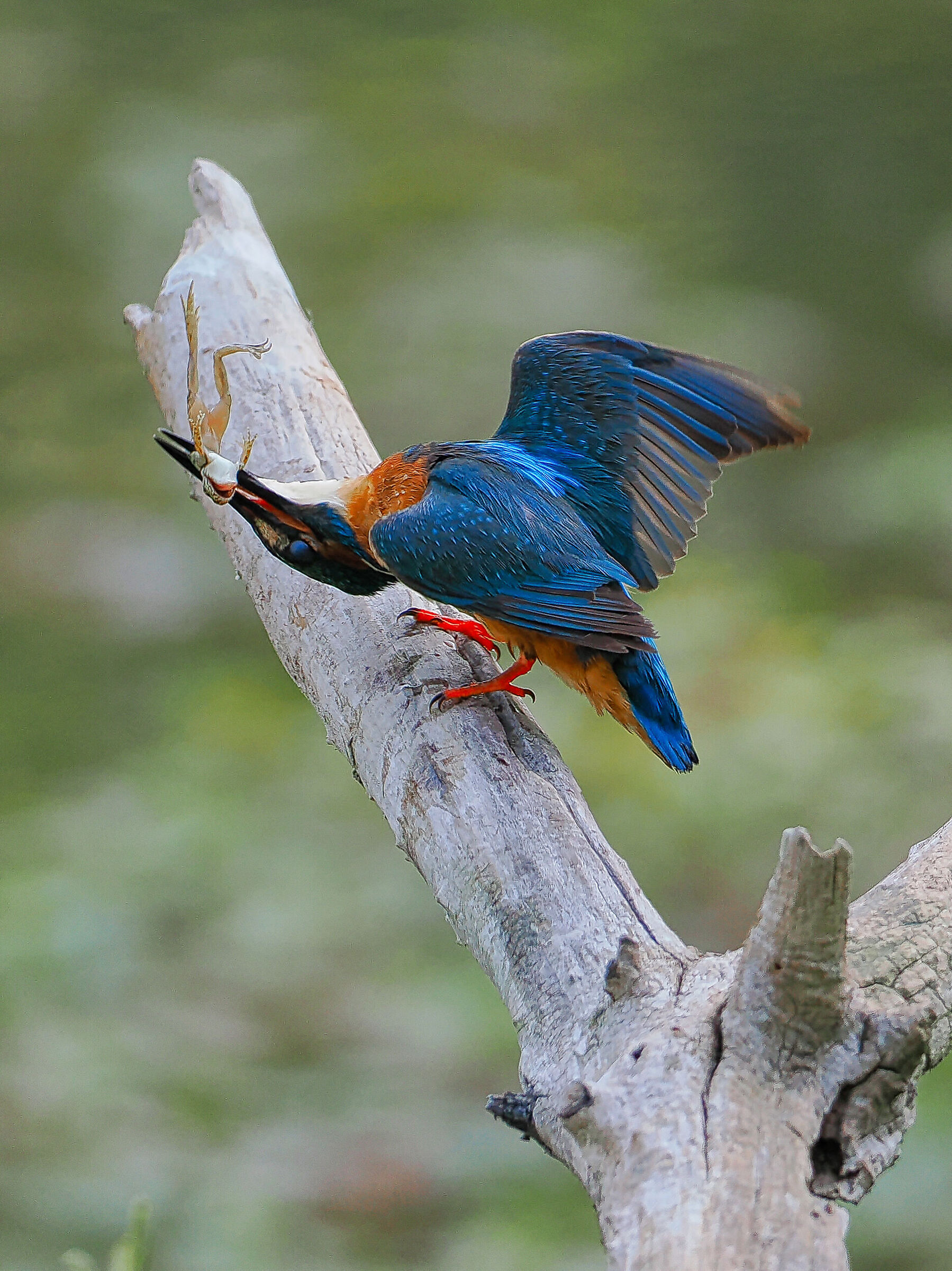 Il cacciatore e la preda