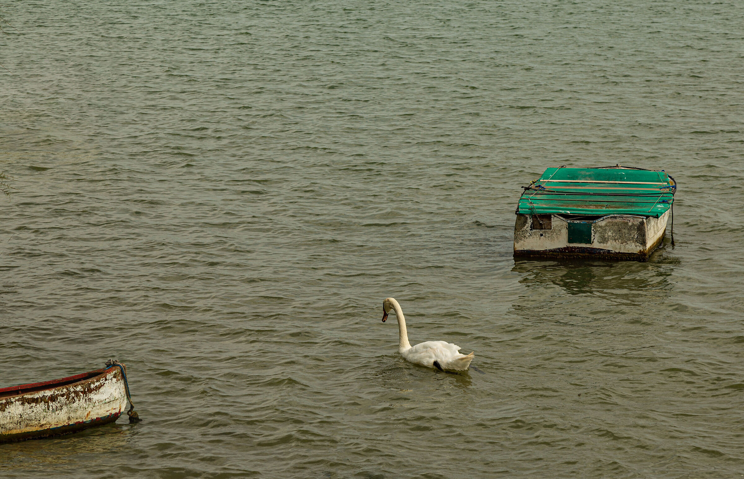 Tra due barche, laguna di Caorle.