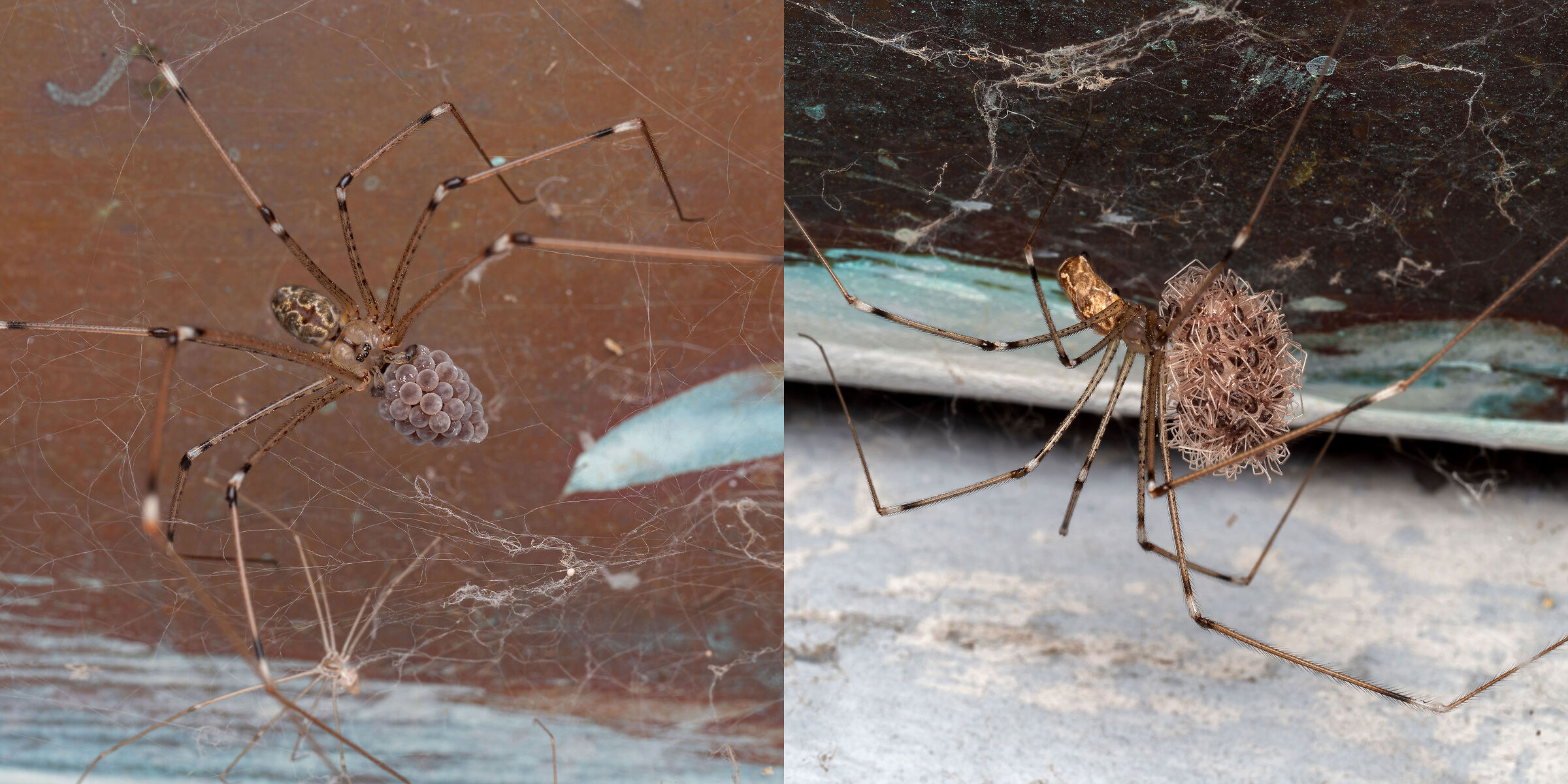 the before and after