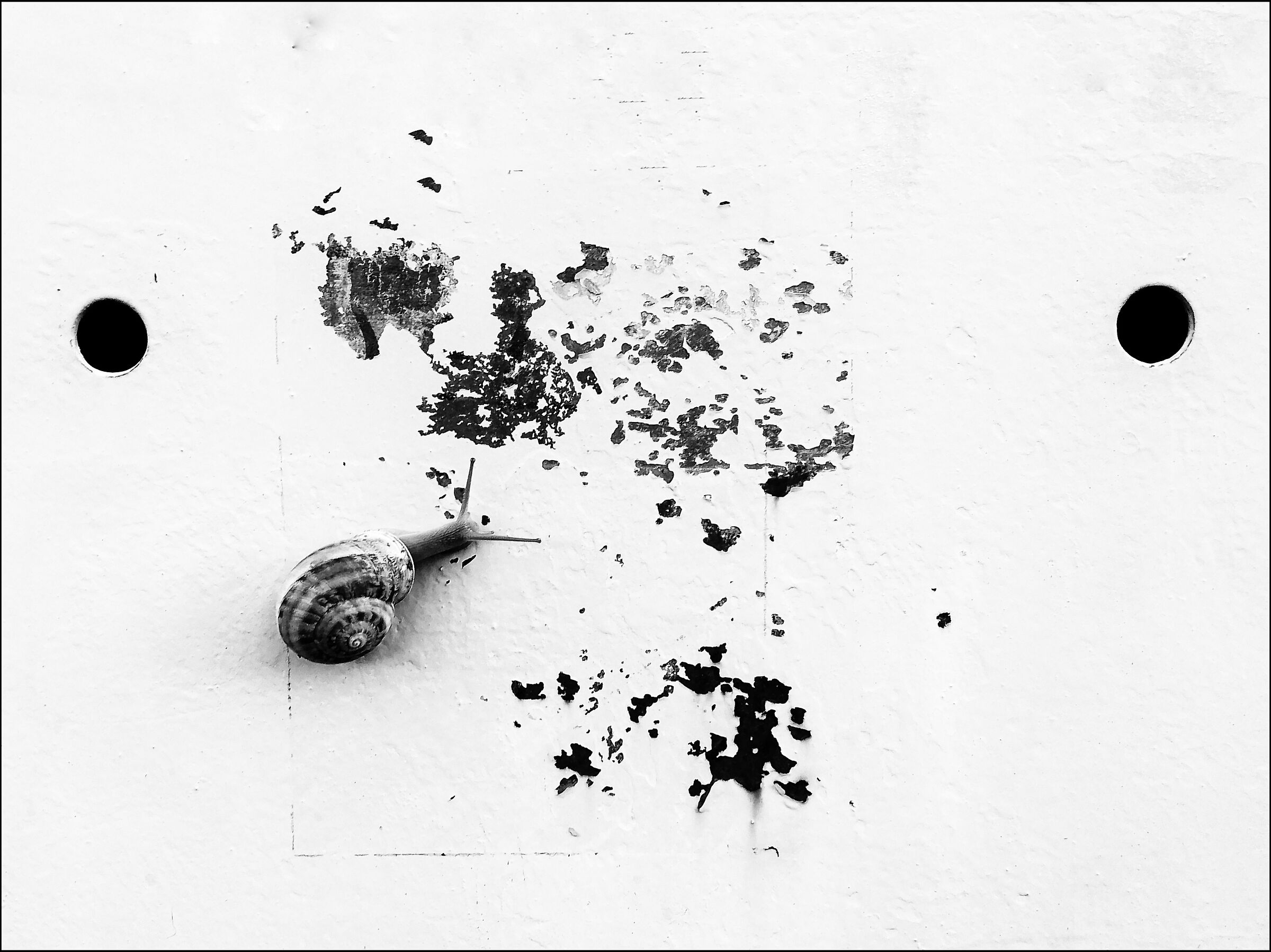 Lentographism