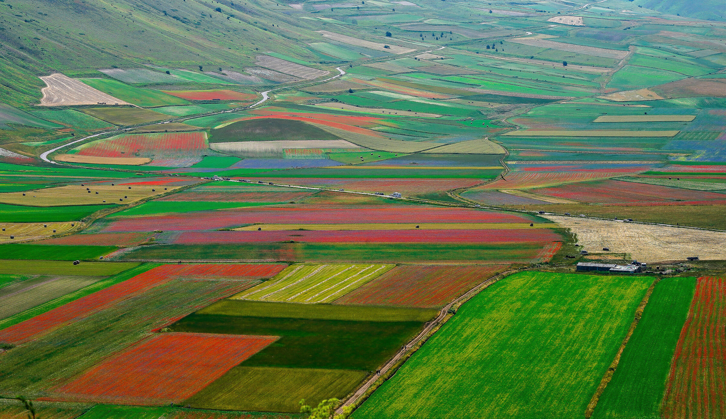 Castelluccio 2023 10