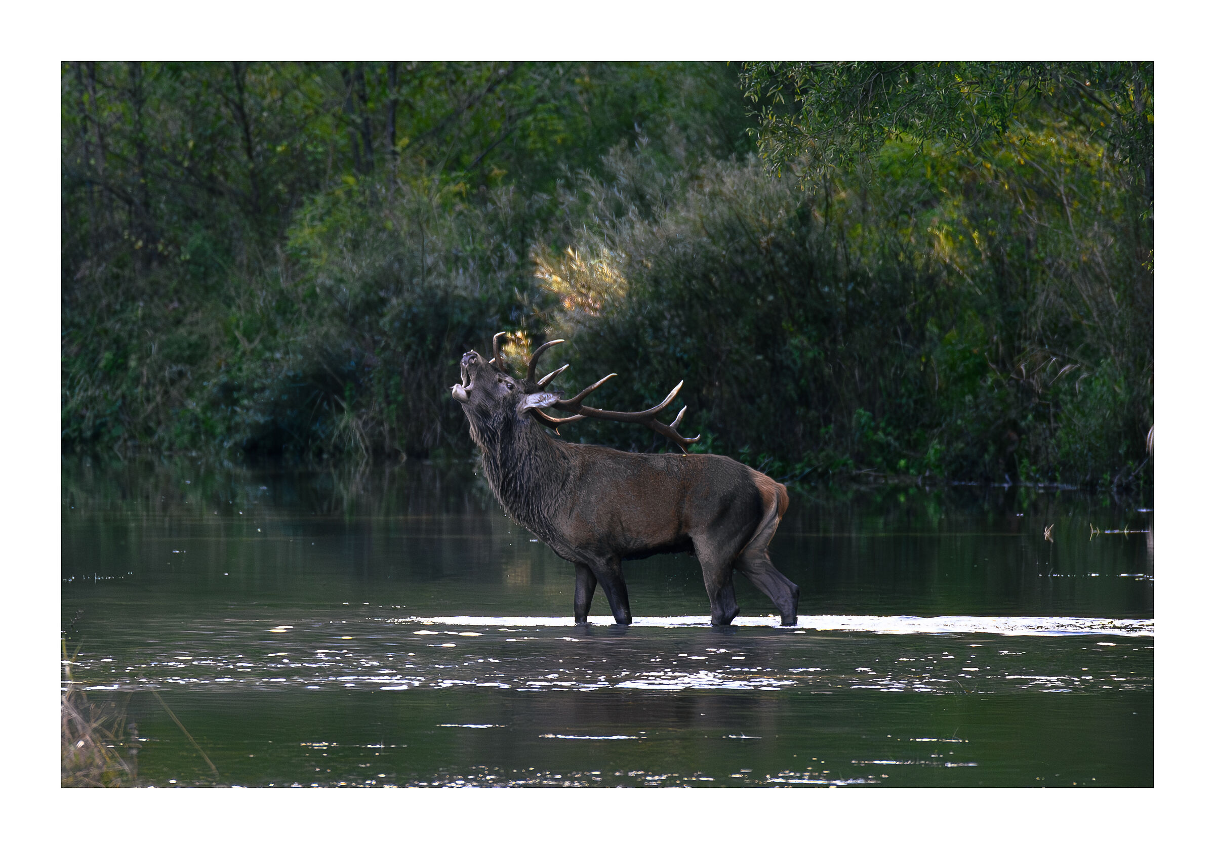 Bramito 2023 no abruzzo