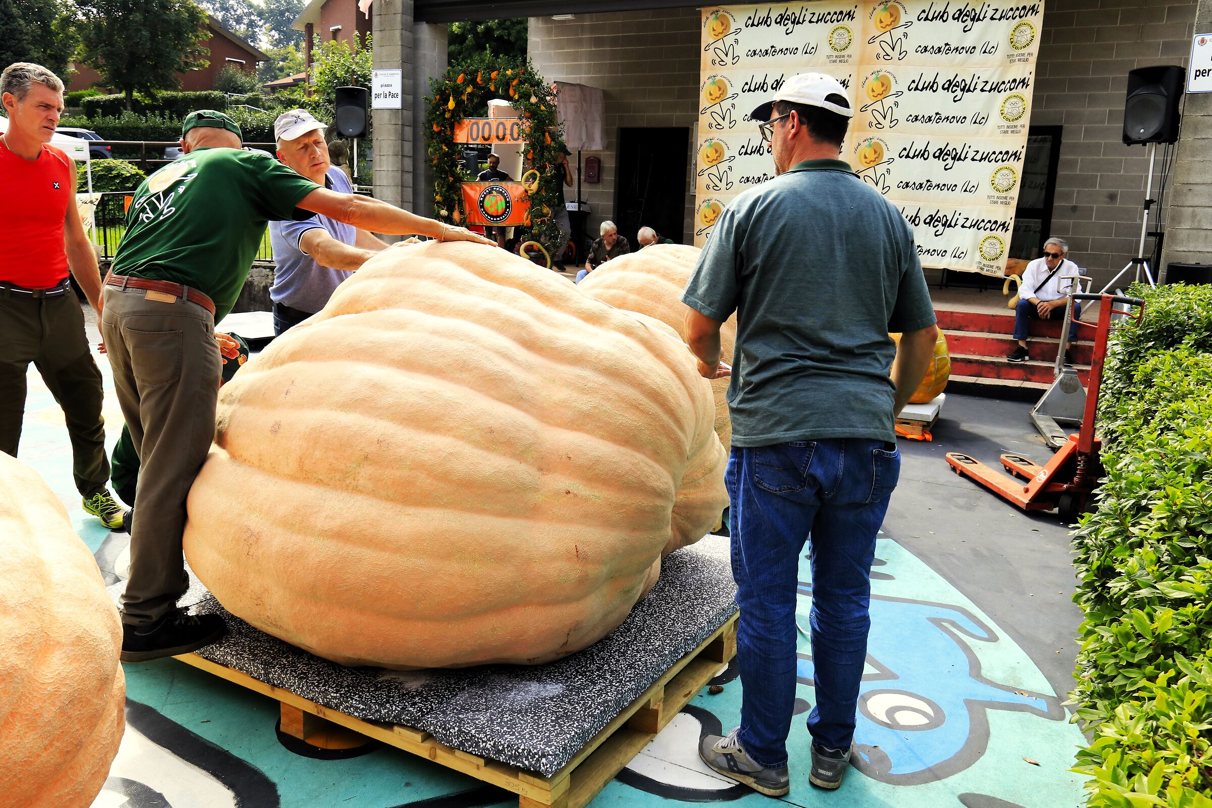 " World Champion pumpkin "