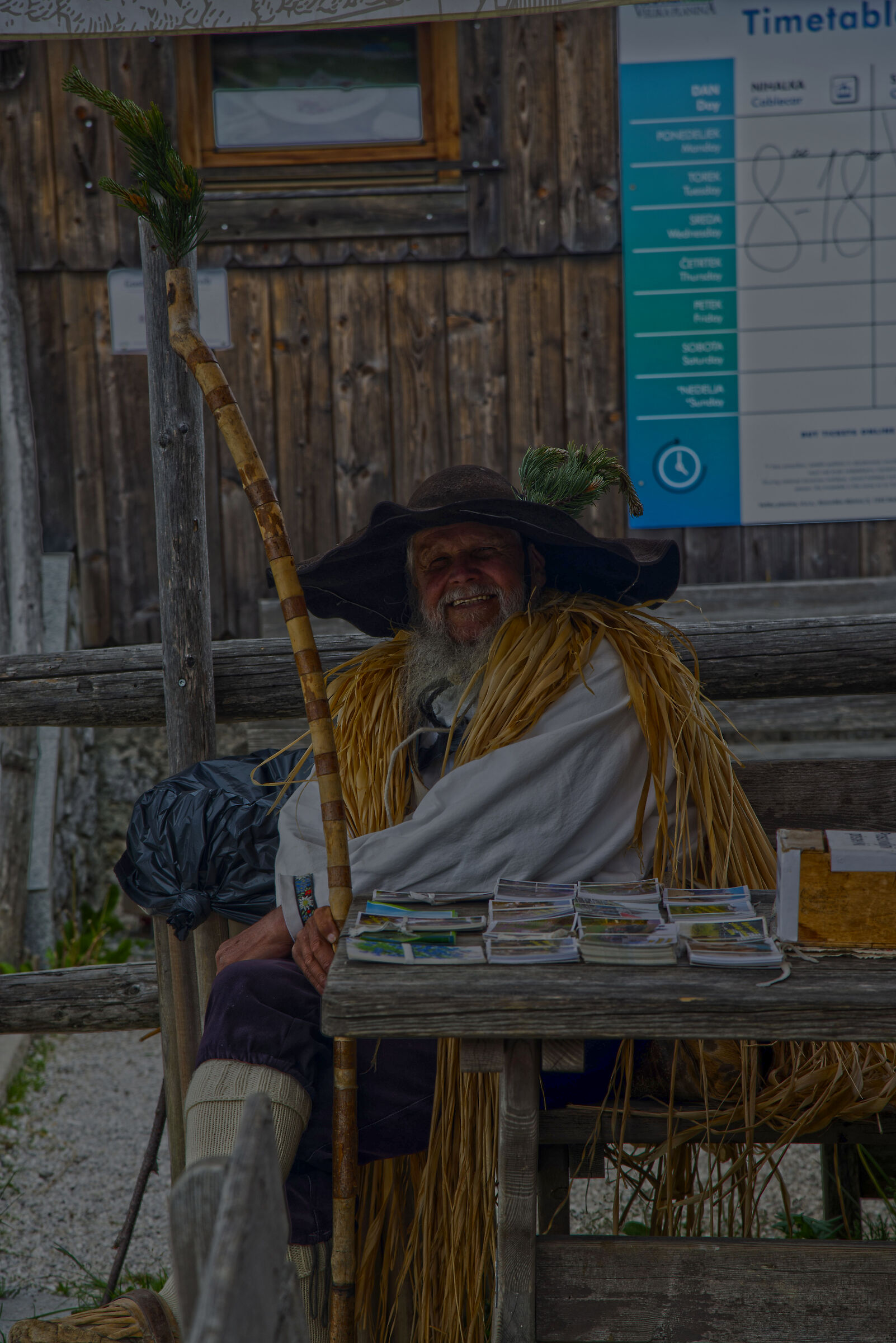 Shepherd Velika Planina