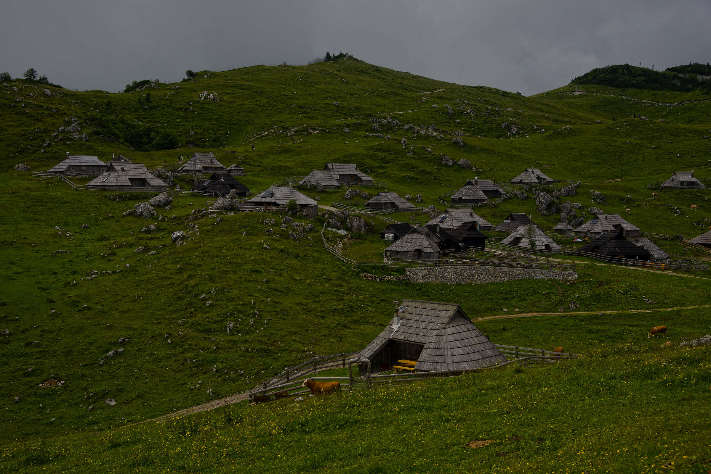 Velika Planina