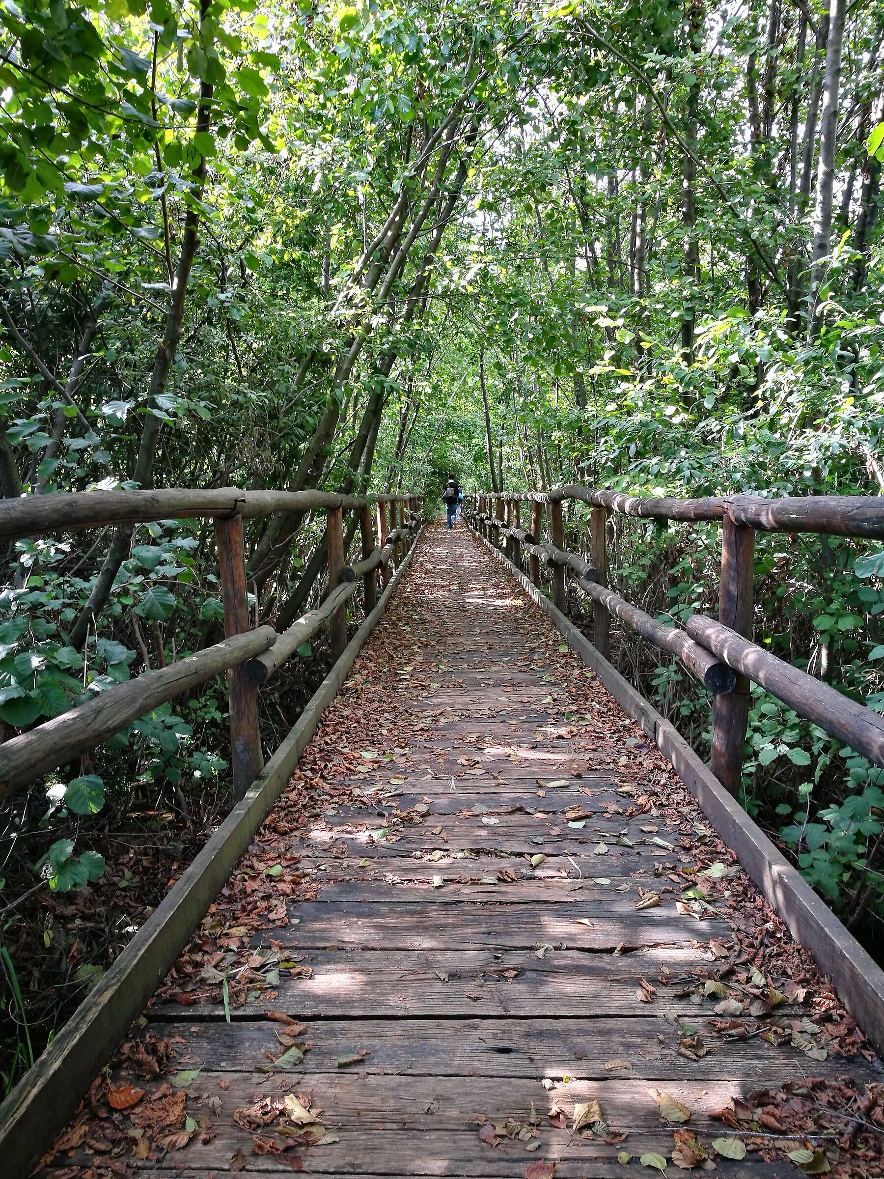 The corridor