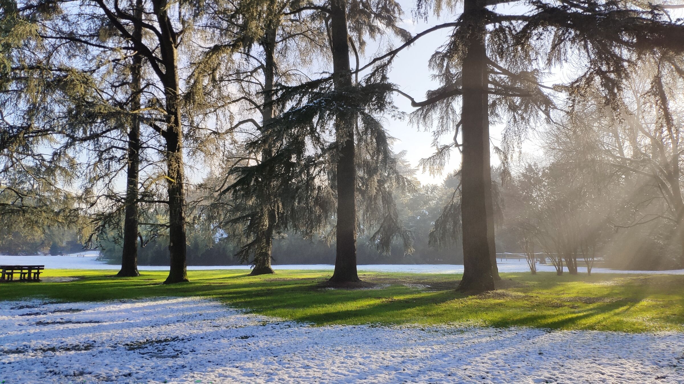 Lights and shadows - Winter