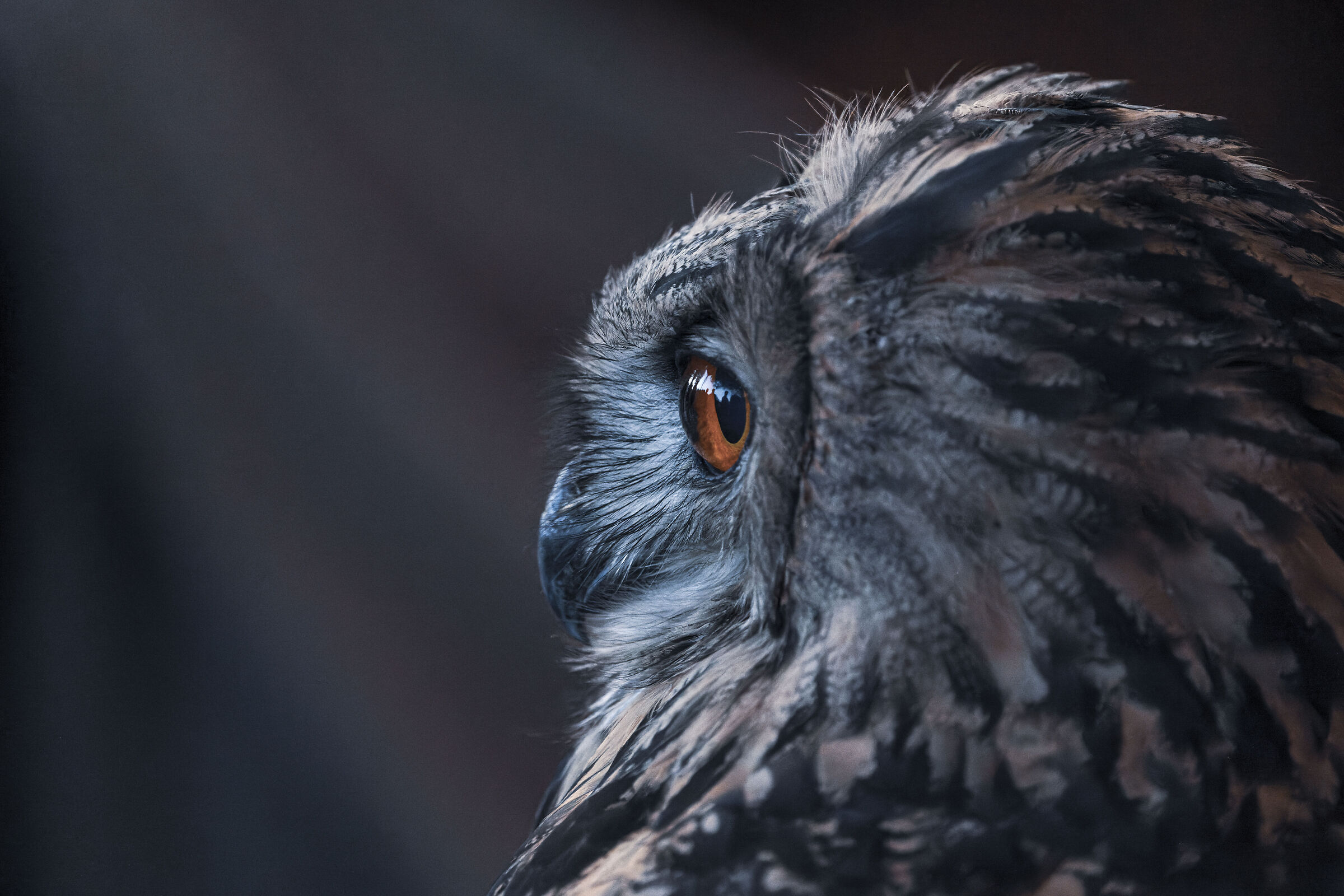 The light that reveals the soul