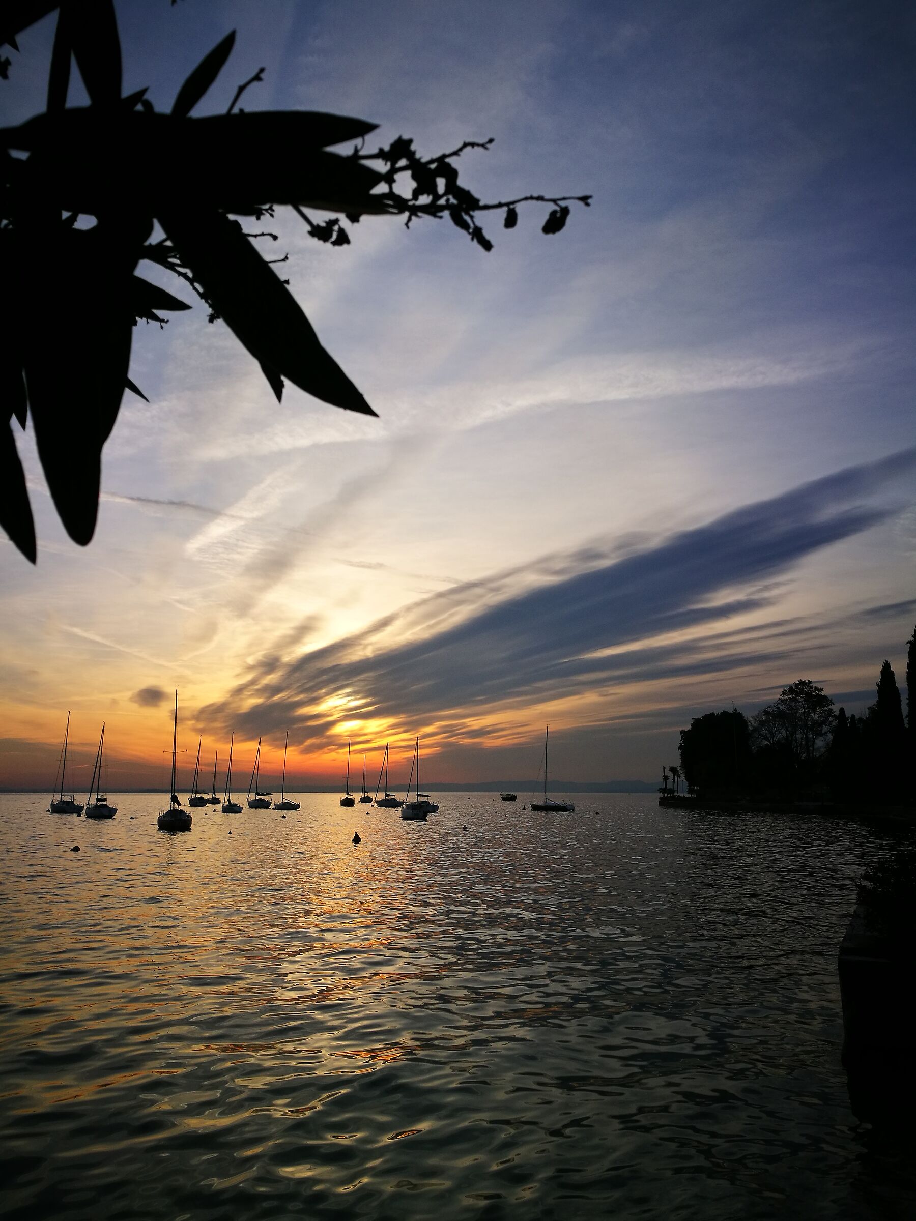 Winter sunset (2)