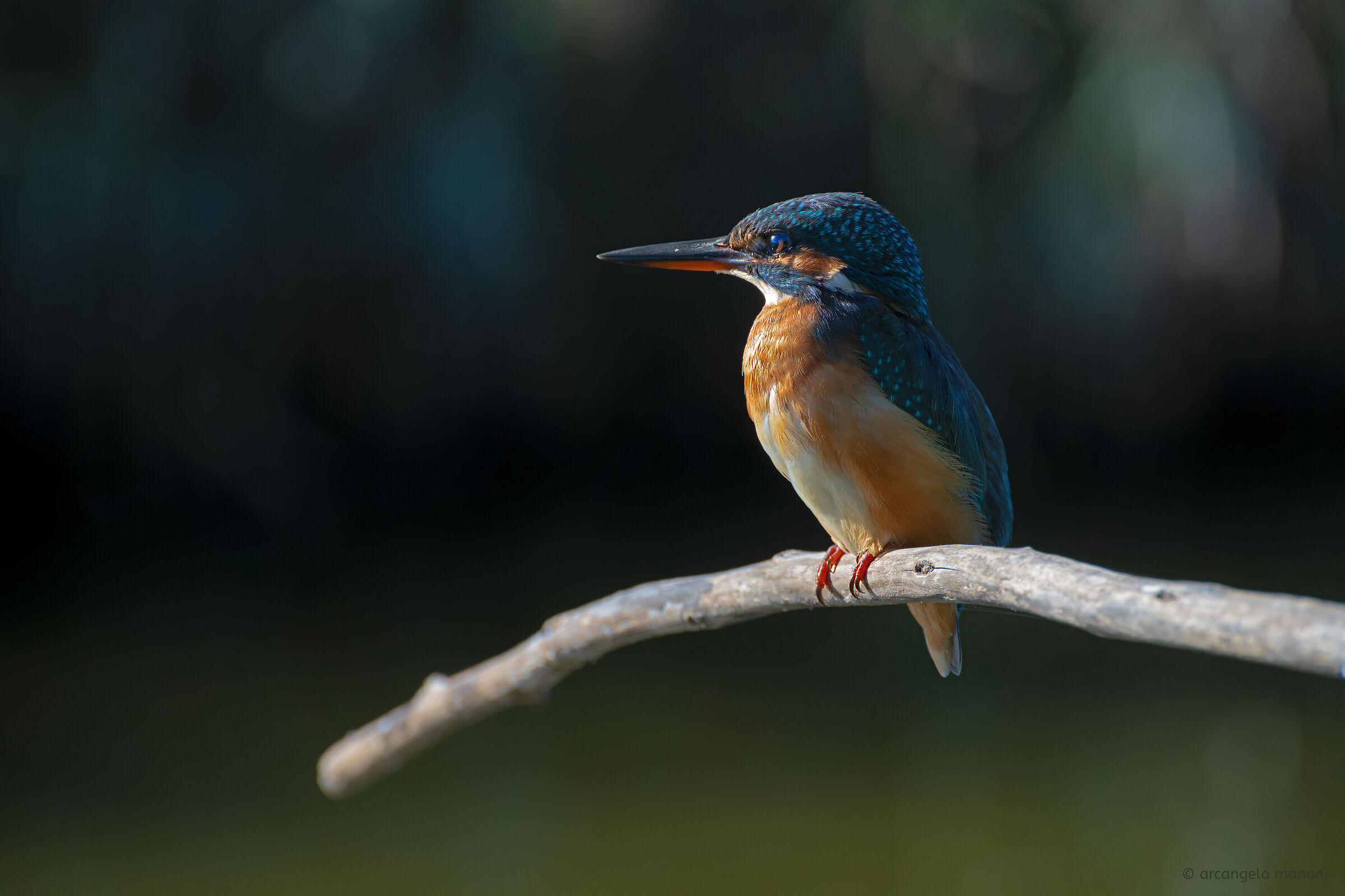 Martina col Tamron 70-300