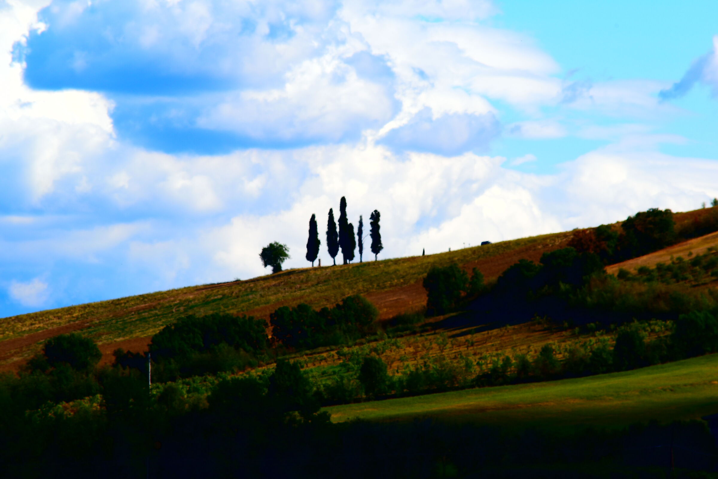 Before Castelvetro, Modena.