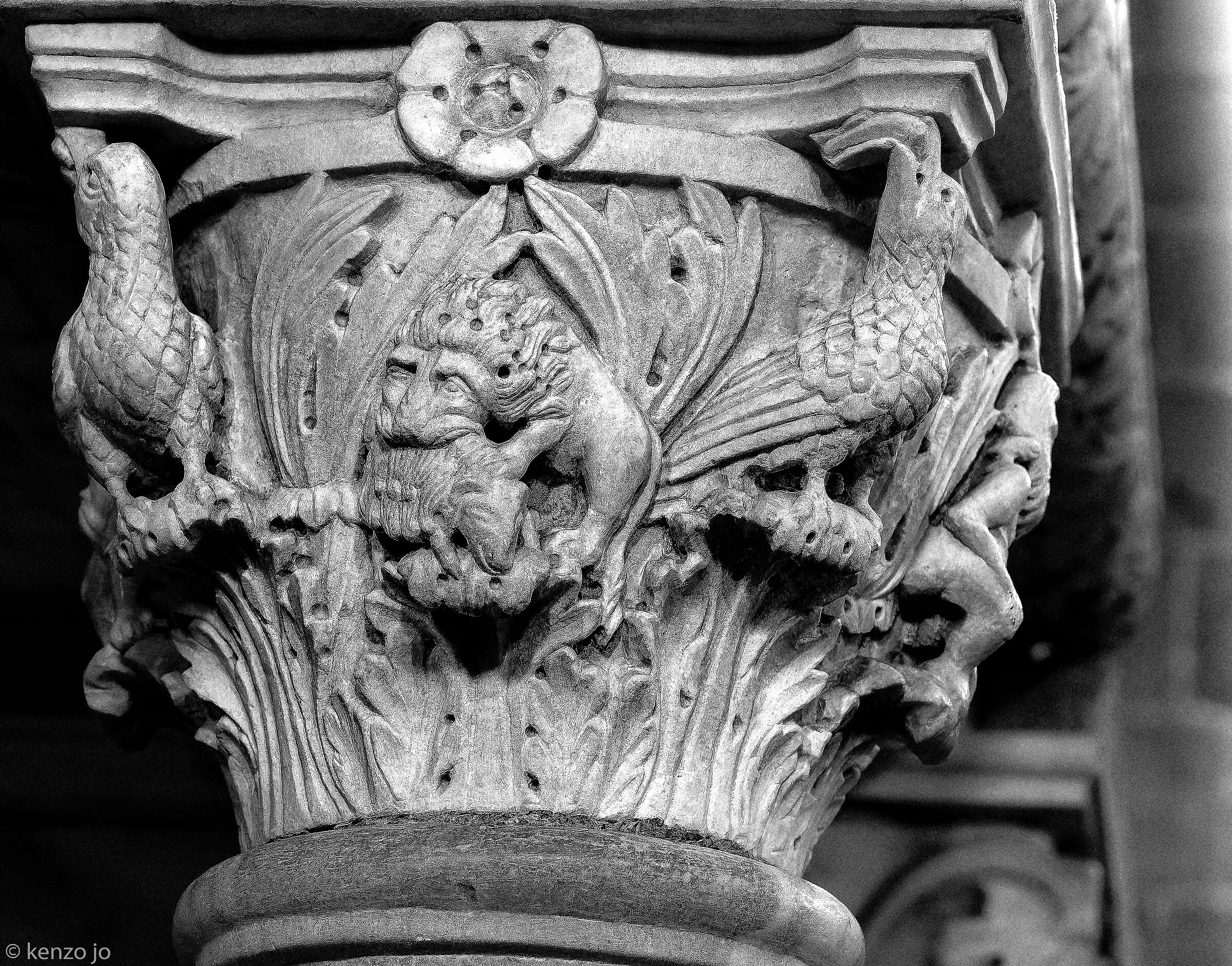 Jesce Lyon by Lioneria