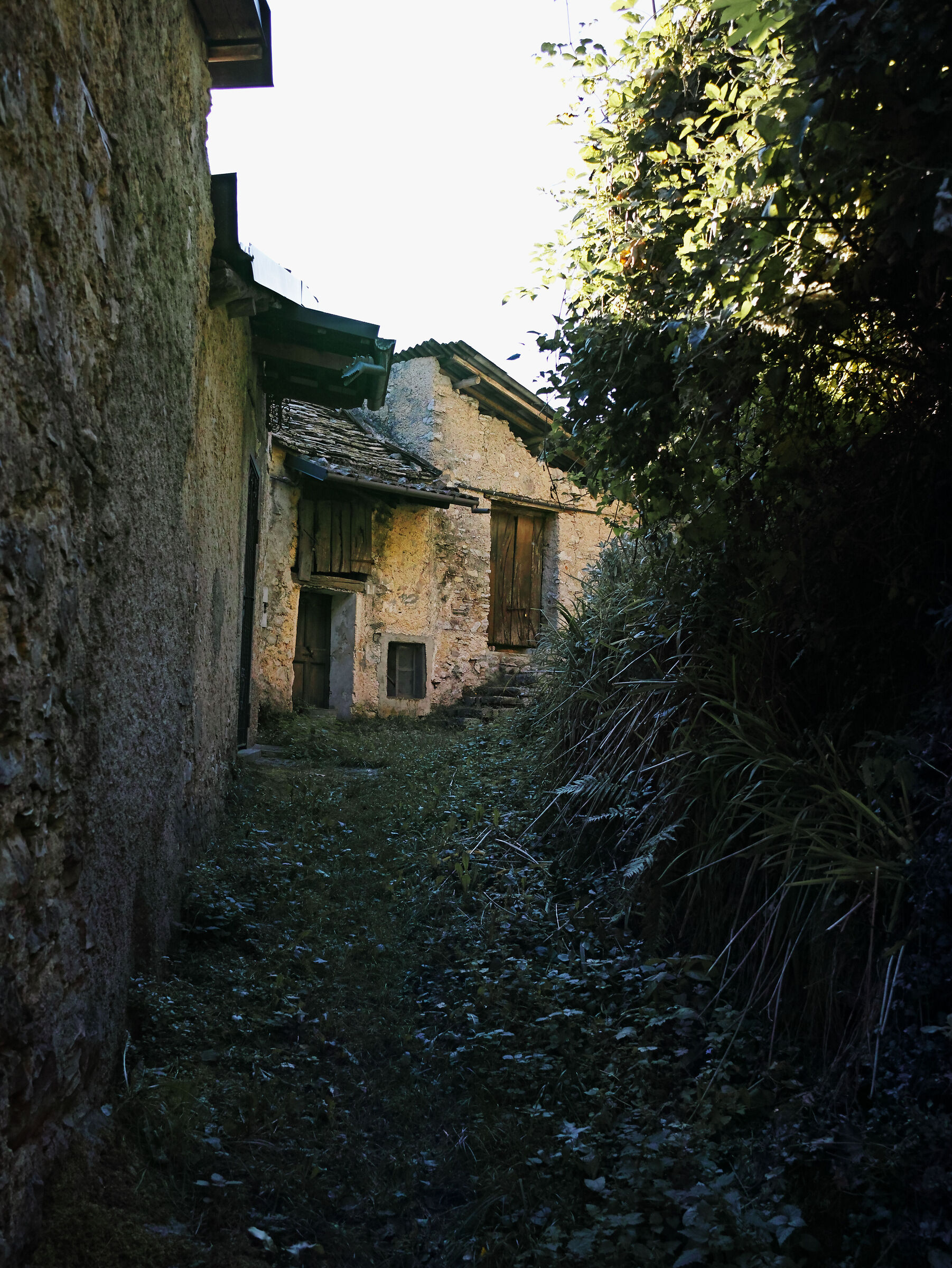 Untitled Photo