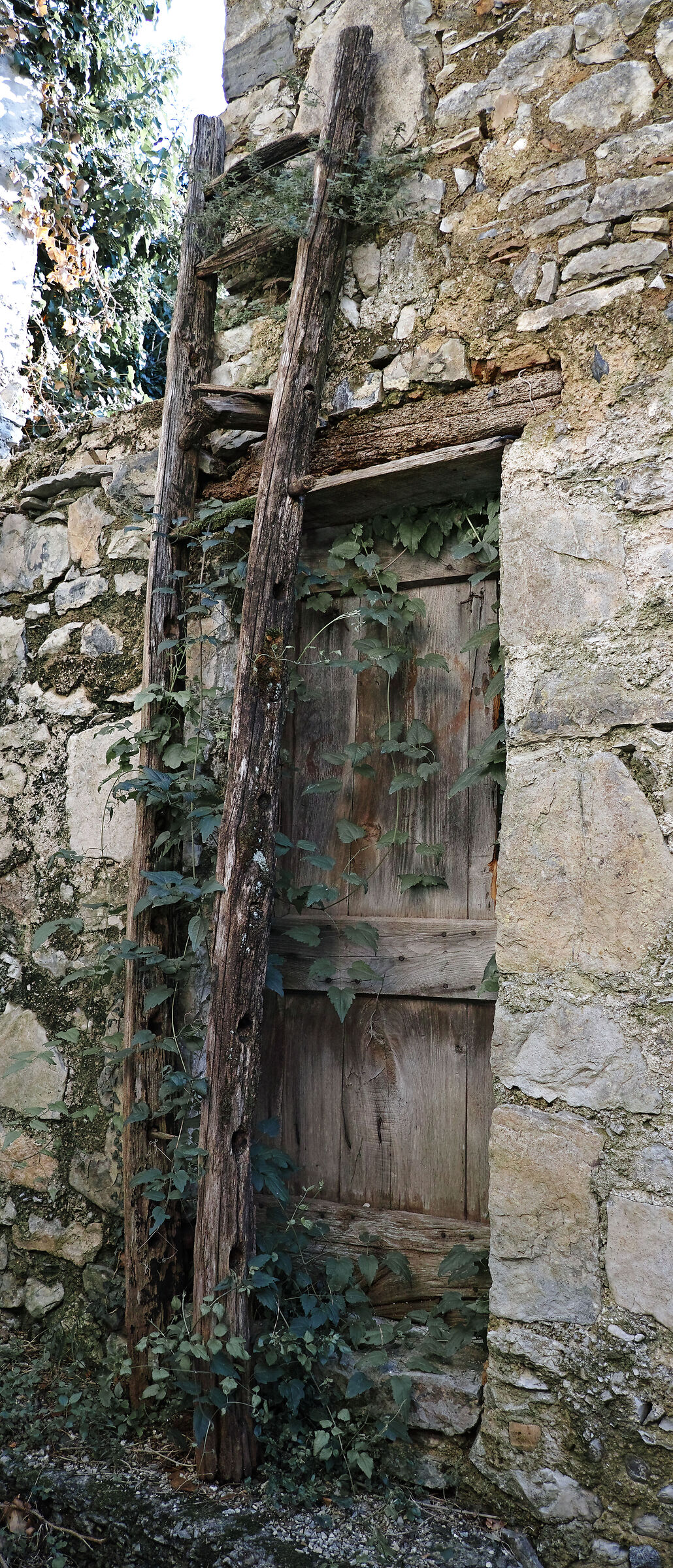 Untitled Photo