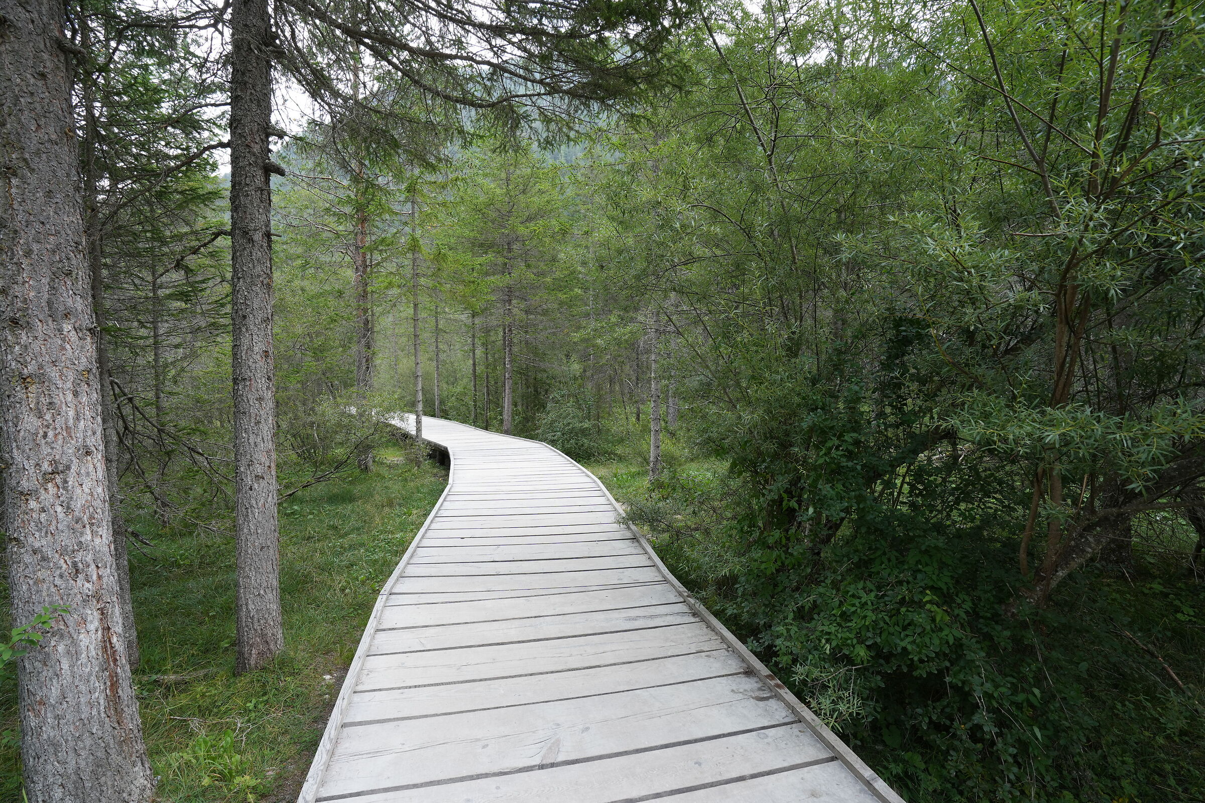 A passeggio intorno al Lago di Dobbiaco