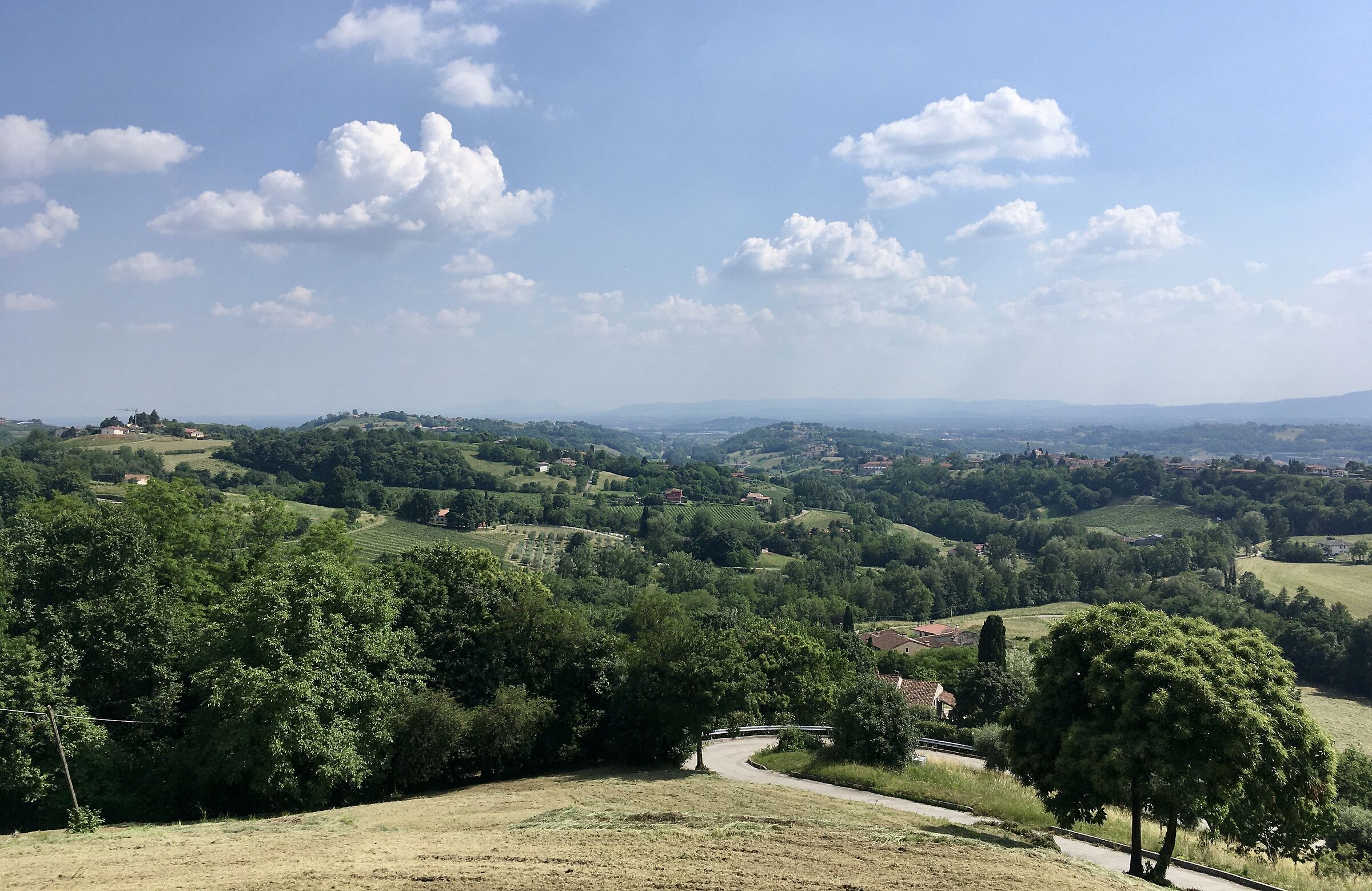 colline vicentine 2