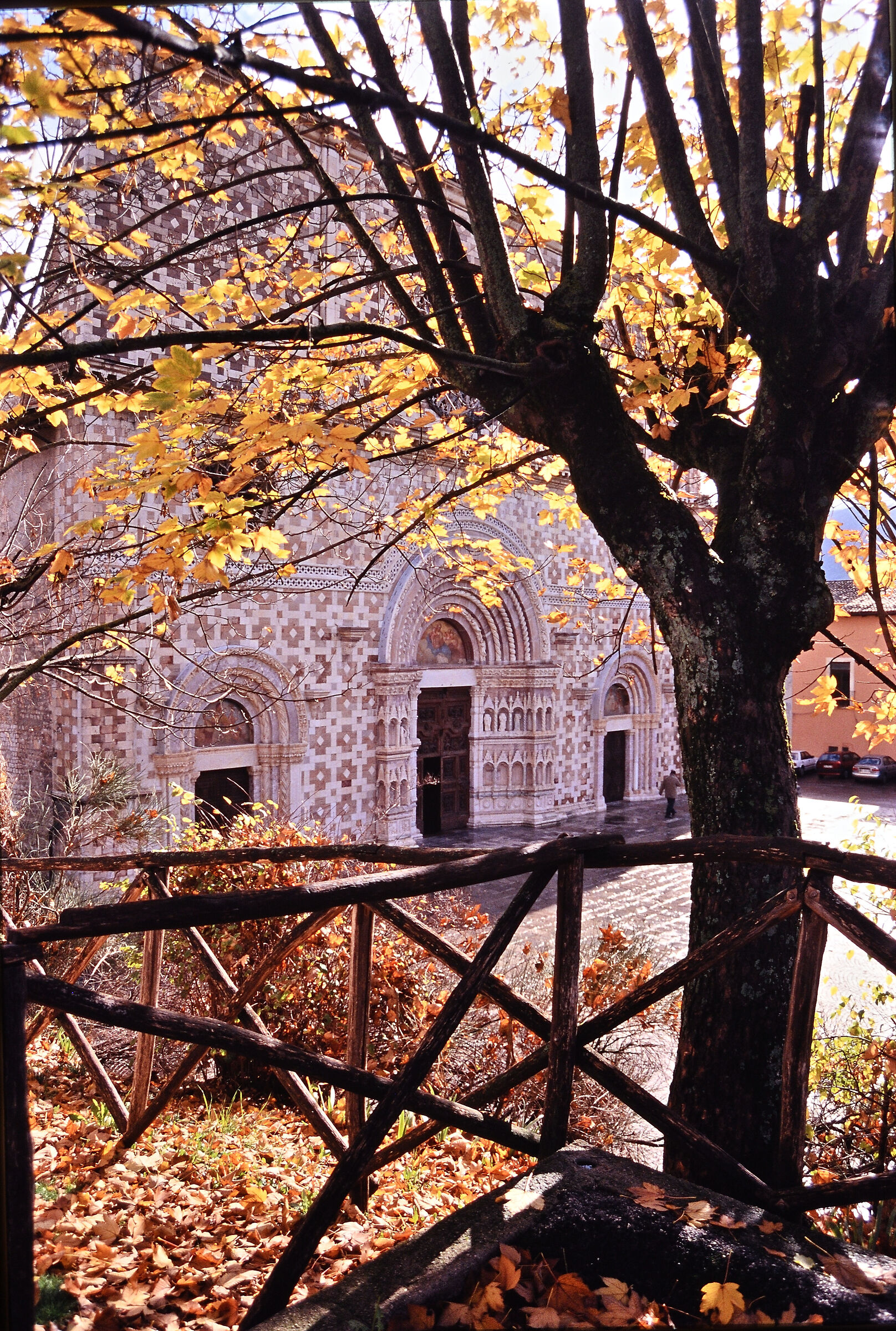 Uno splendido autunno