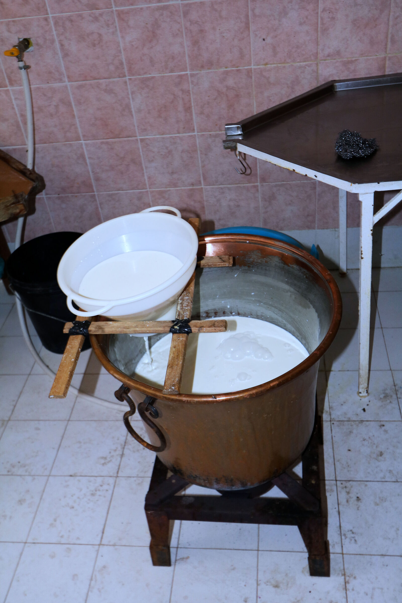 Future pecorino cheese