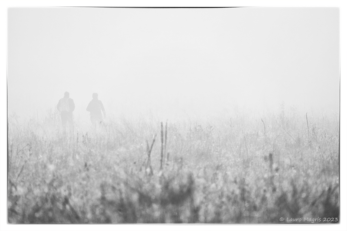 Avvolti nella nebbia