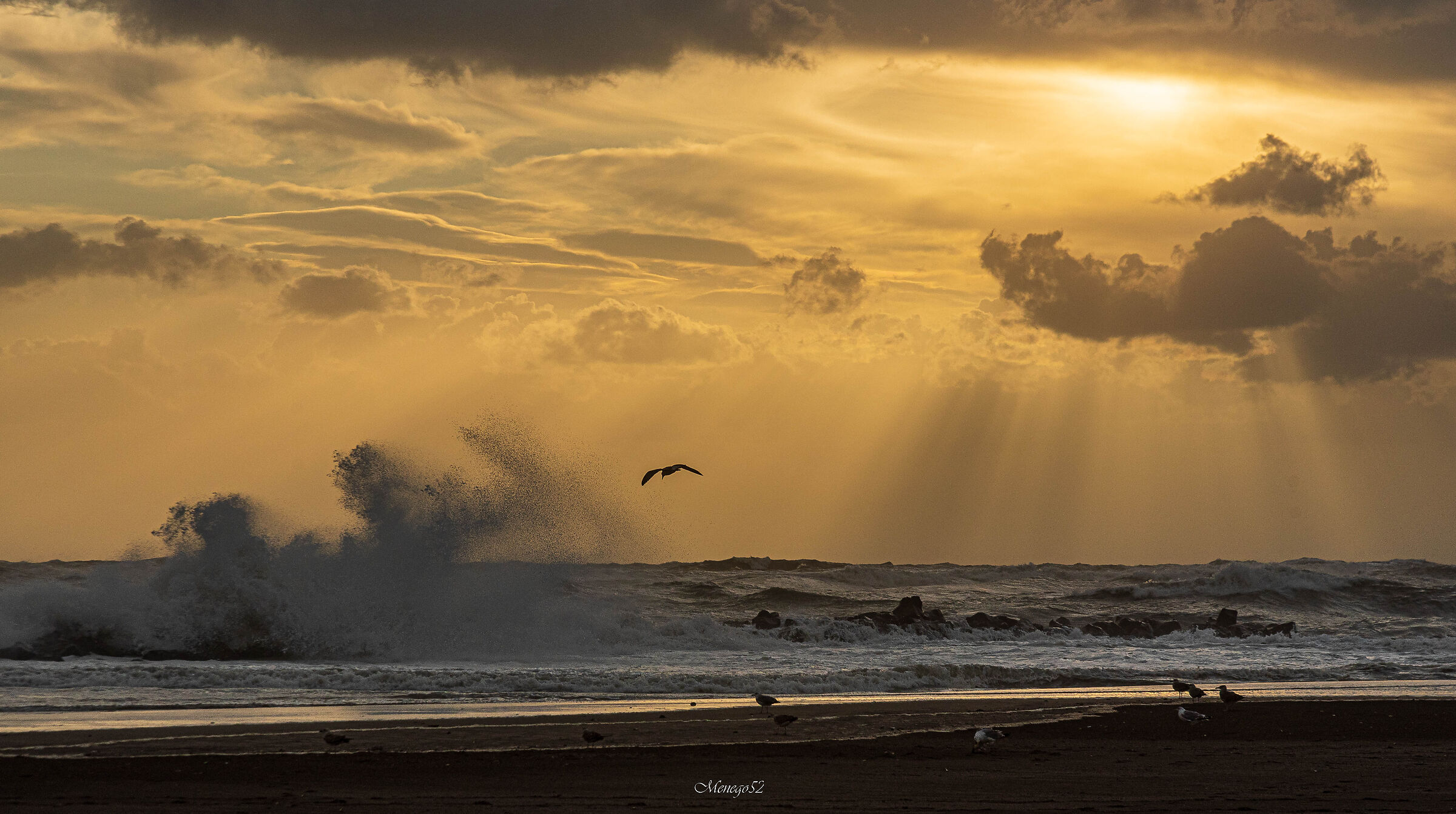 basta un raggio di sole...