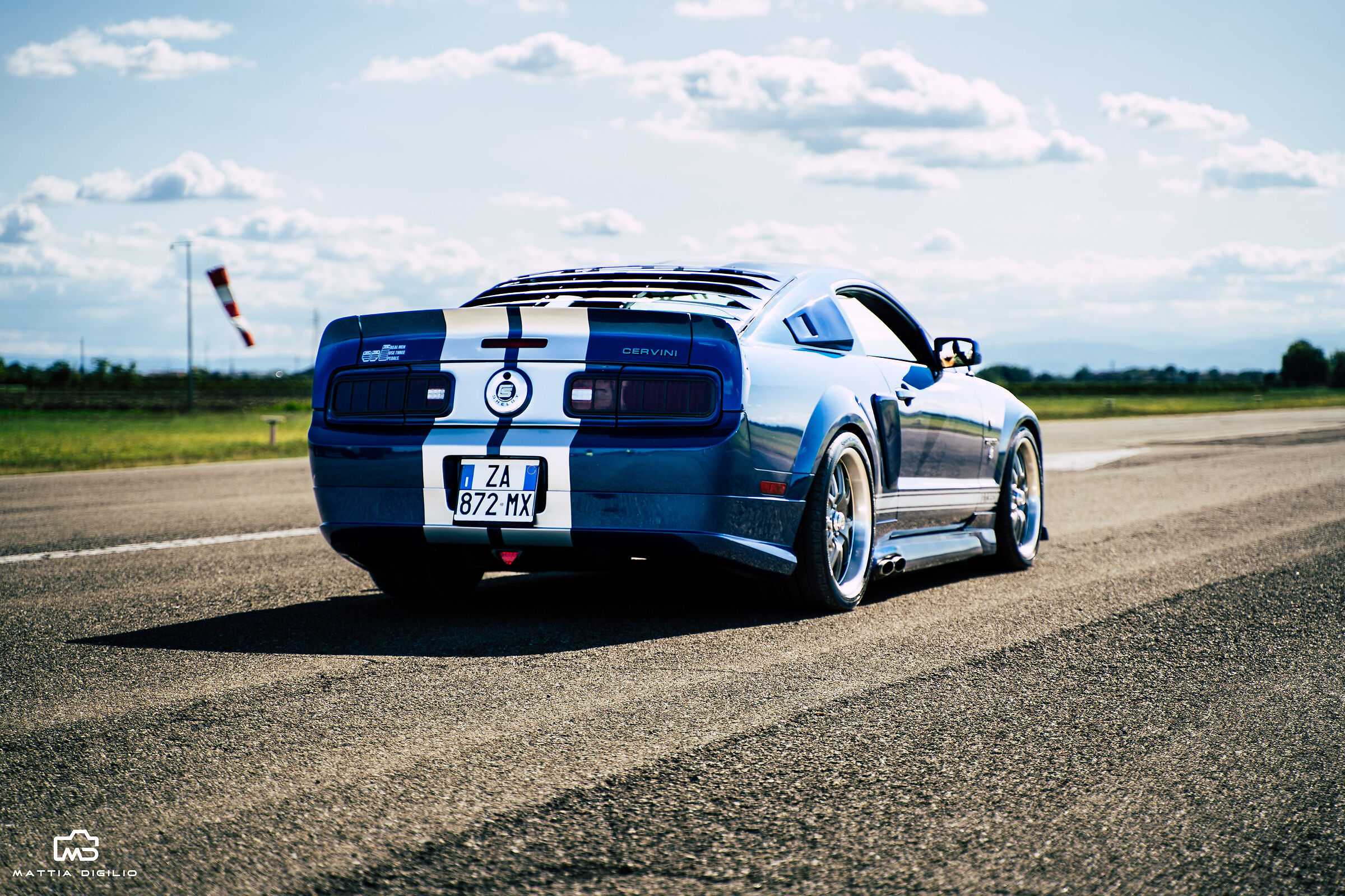 Mustang Cervini Back