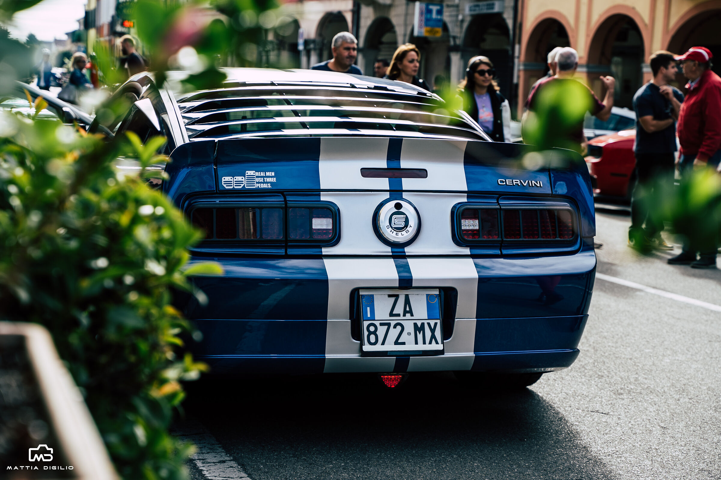 Mustang Cervini - hide