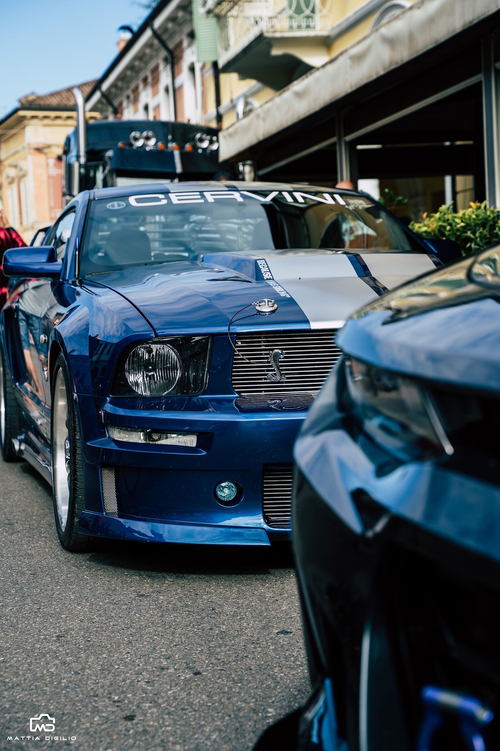 Mustang Cervini