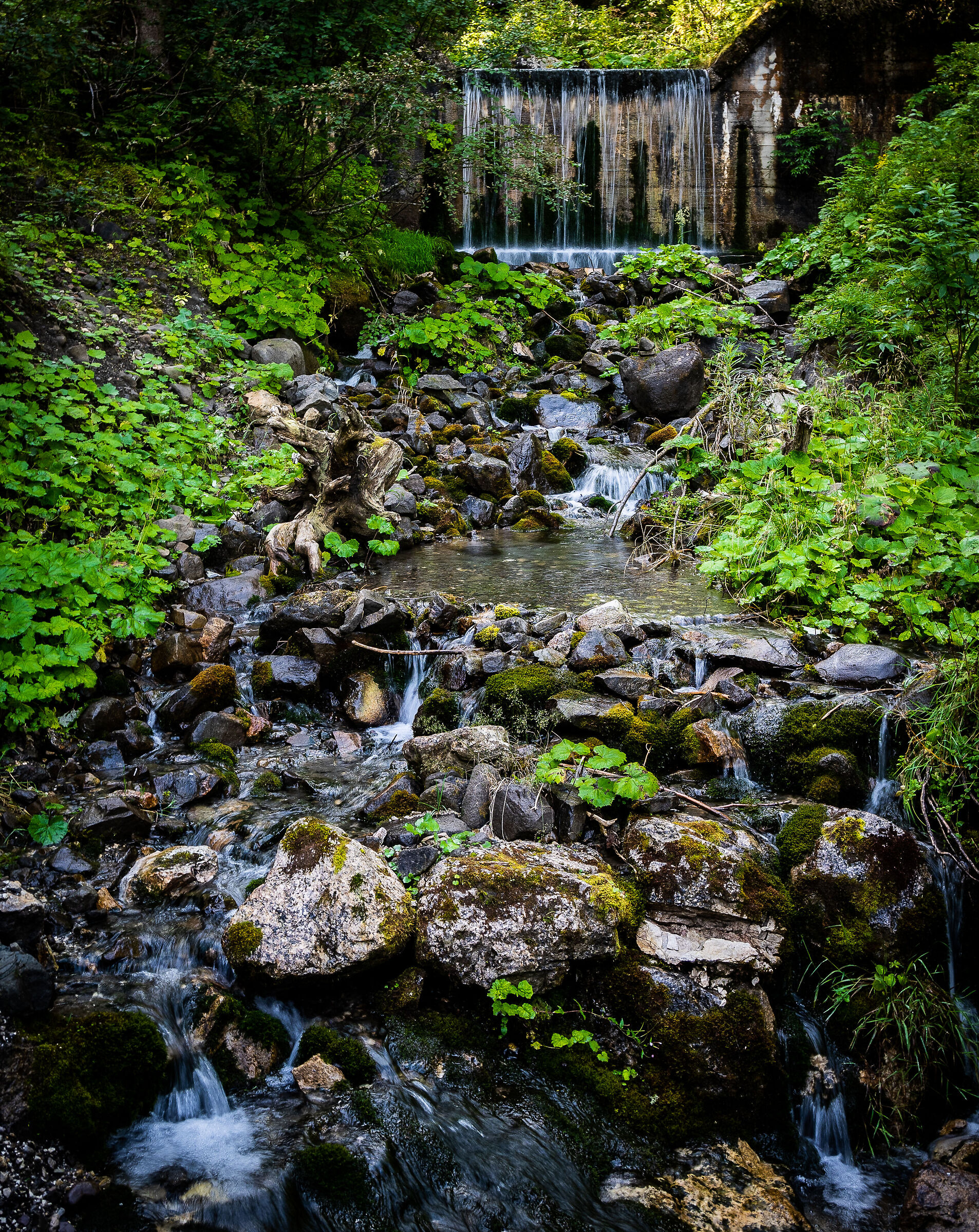 Waterfall in the woods