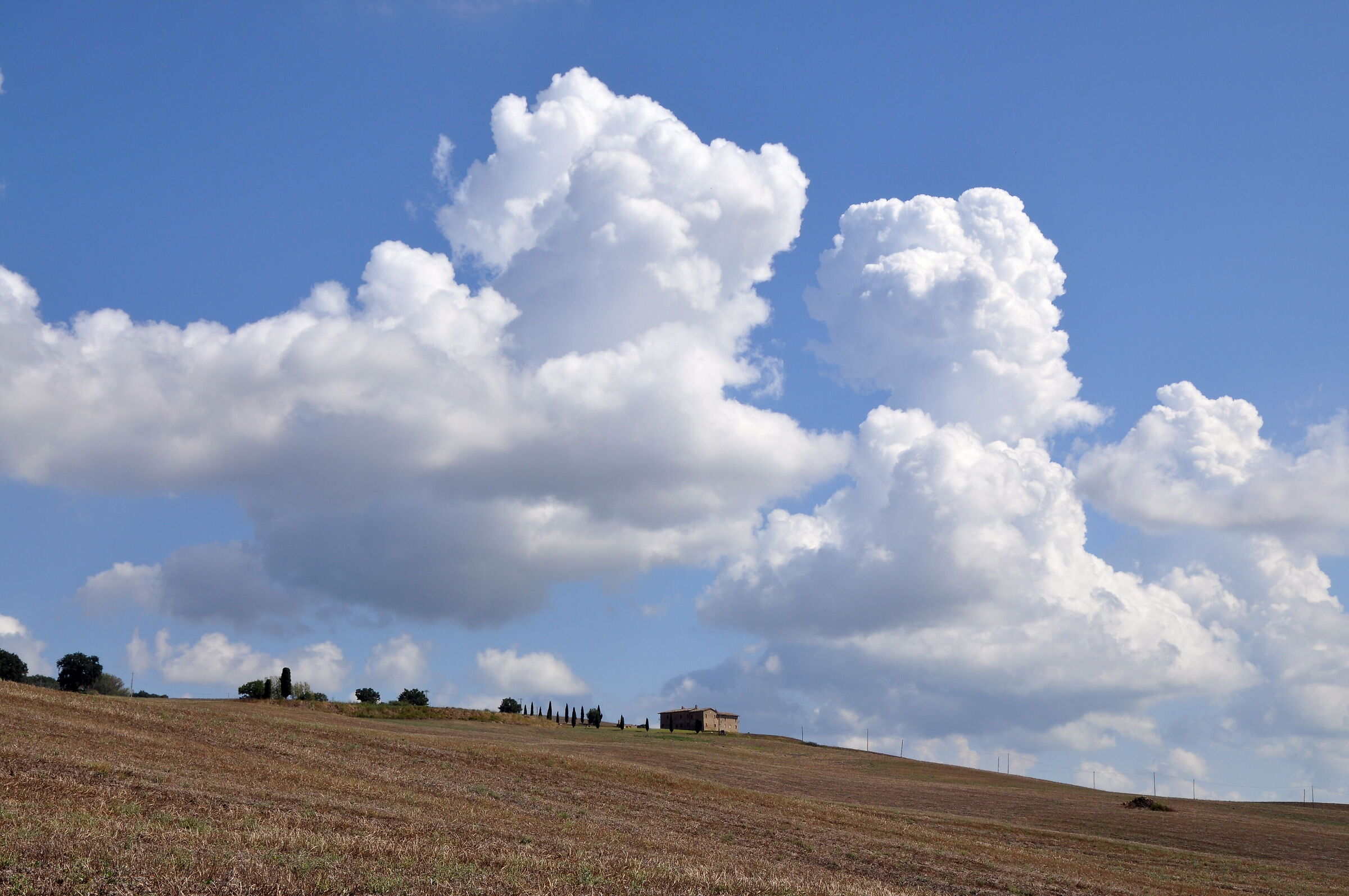 Paesaggio -2-