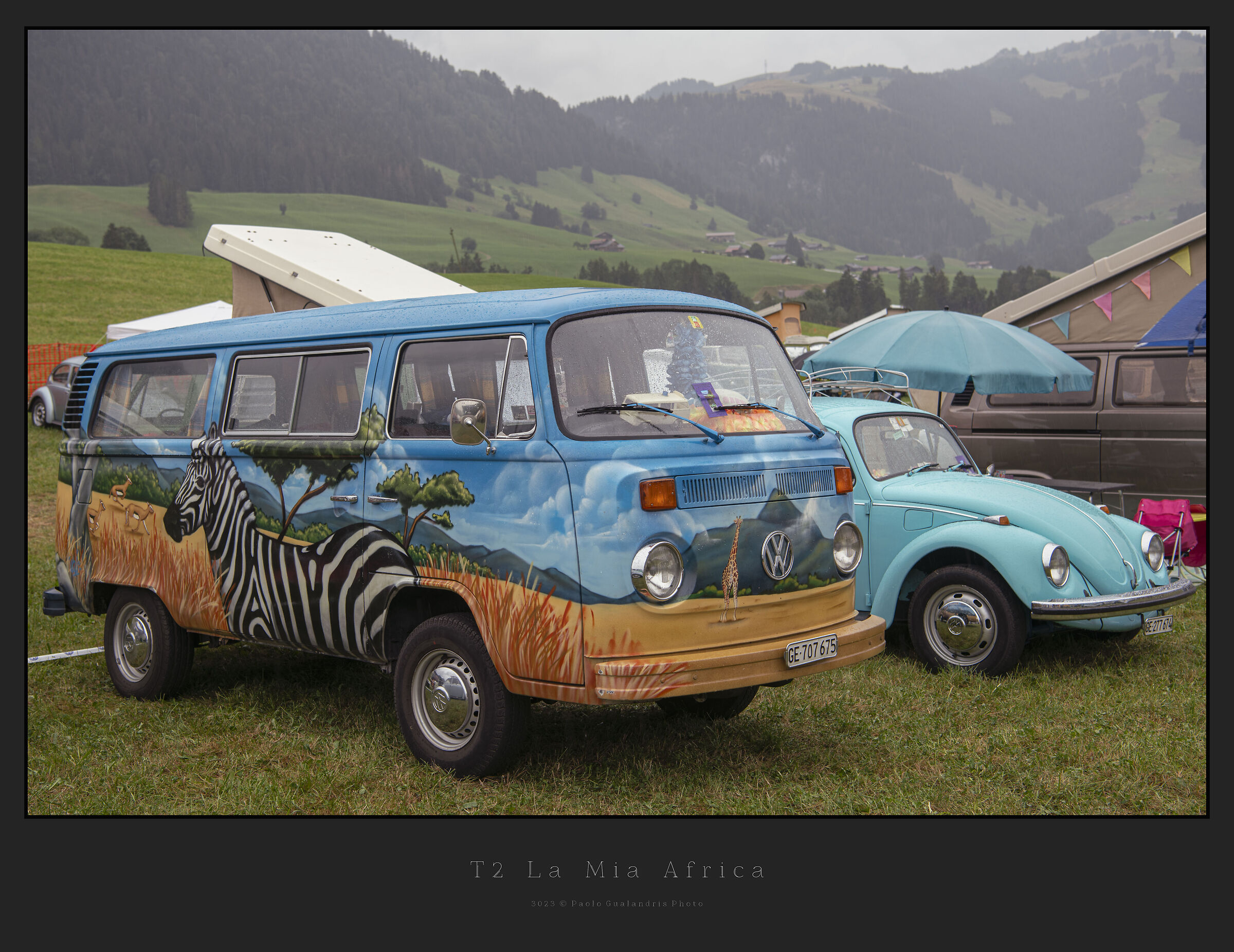T2 My Africa