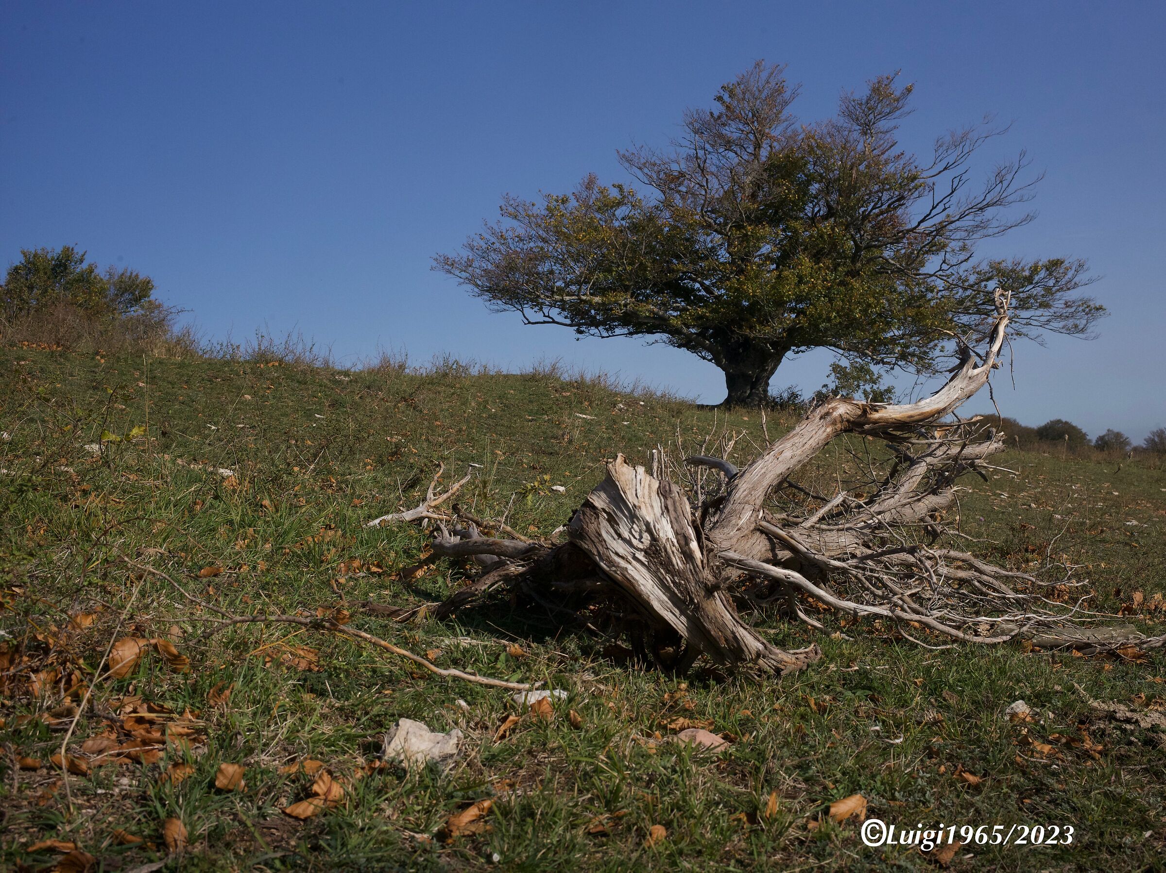 Autumn has arrived