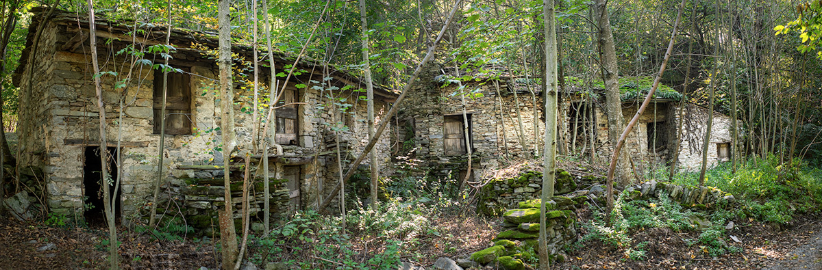In the woods