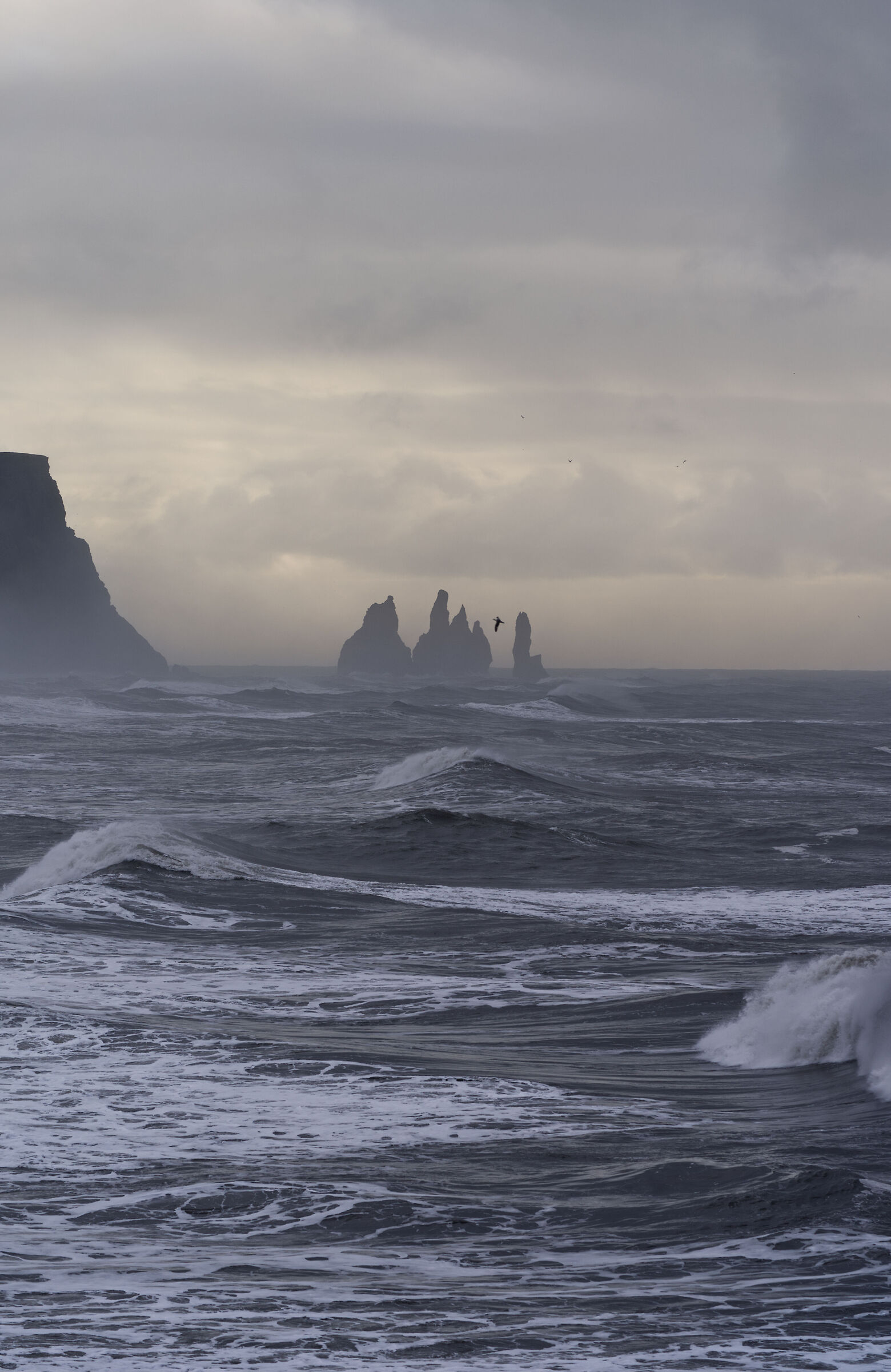 hàlsanefshellir - south islanda