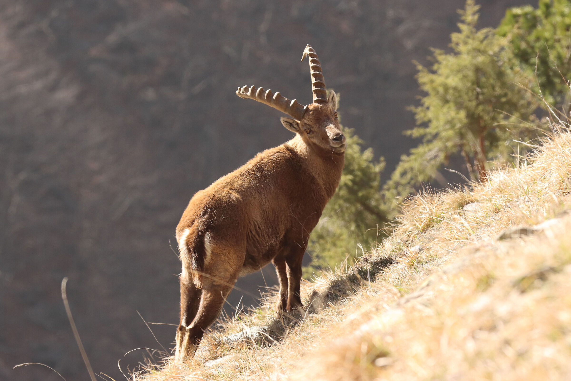 ... ti aspettavo ...