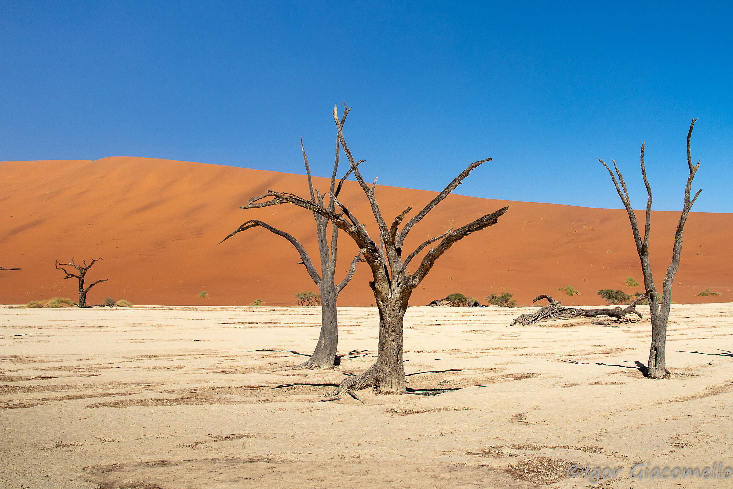 Deadvlei